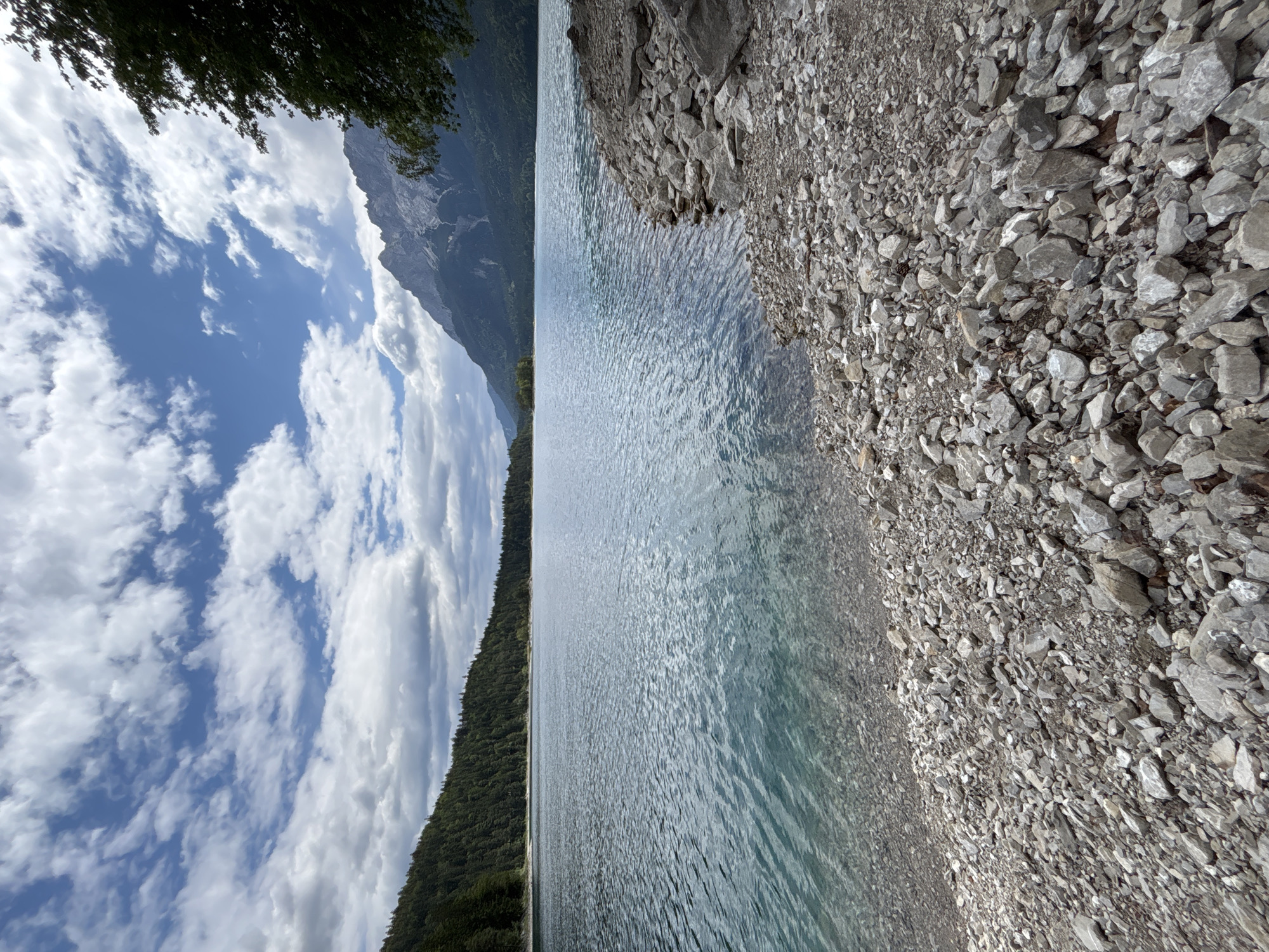 A wide, low-angle shot captures the serene beauty of a rocky lake shore in Grainau, Germany. The foreground is dominated by a dense scattering of grey and white stones, ranging in size from pebbles to small boulders. Beyond the rocky shore, a vast expanse of tranquil, blue-green water stretches towards a distant tree-lined shore. The water's surface is gently rippled, reflecting the bright sky above. In the middle ground, a densely forested hillside slopes down to the water's edge on the left. On the right, the majestic, grey peaks of the Bavarian Alps rise dramatically, their rugged slopes partially obscured by a lush green tree in the extreme upper right corner. The sky above is a vibrant blue, dotted with fluffy white clouds that cast soft shadows on the landscape. The image conveys a sense of peace and natural grandeur.