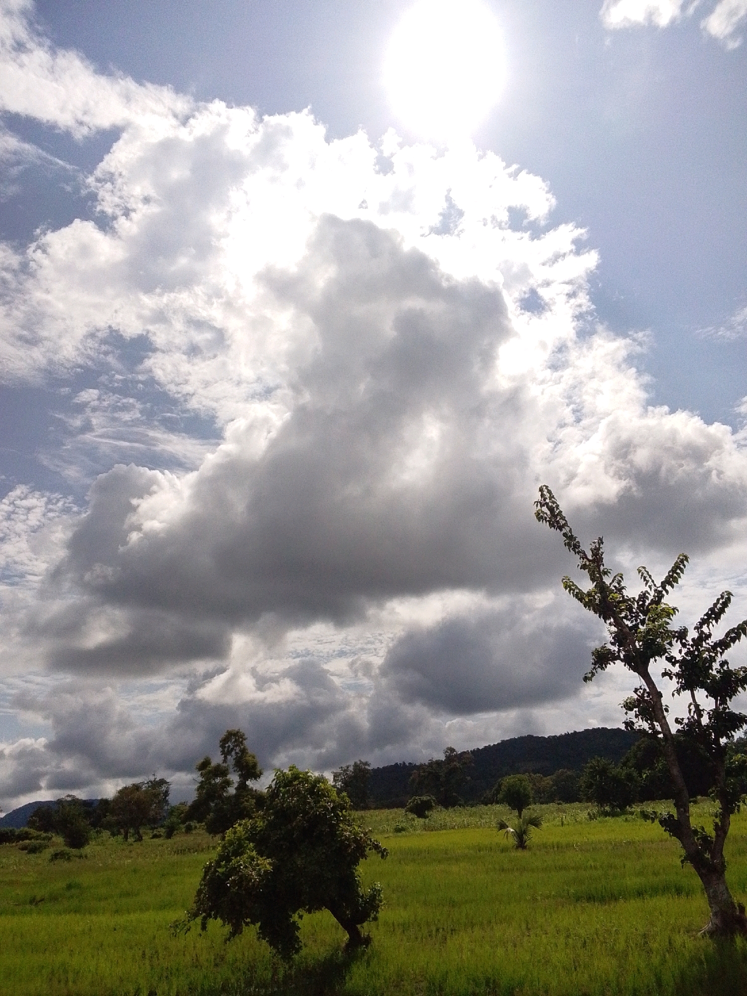 The image captures a wide, rural landscape under a dynamic sky. The foreground is dominated by a vibrant green grassy field, lush and slightly uneven, indicative of a natural, uncultivated area. Several trees are scattered across the field, with one prominently positioned in the lower right quadrant, its branches reaching upwards.
In the mid-ground, the field continues, leading to a line of trees and vegetation that form a natural boundary. Beyond this, a range of rolling hills or mountains forms the backdrop, their slopes covered in dark green foliage.
The sky is a significant element of the image. The upper portion is bright blue, with the sun clearly visible as an intense white orb, partially obscured by large, dramatic cumulus clouds. These clouds are a mix of bright white and darker grey, suggesting a changeable weather pattern, possibly the prelude to or aftermath of rain. The sunlight creates a bright, ethereal glow.
The scene is devoid of any people or obvious human activity, presenting a serene and natural environment. The overall impression is one of natural beauty and tranquility, characteristic of a rural setting in Serti, Nigeria, where such expansive green fields and dramatic skies are common.