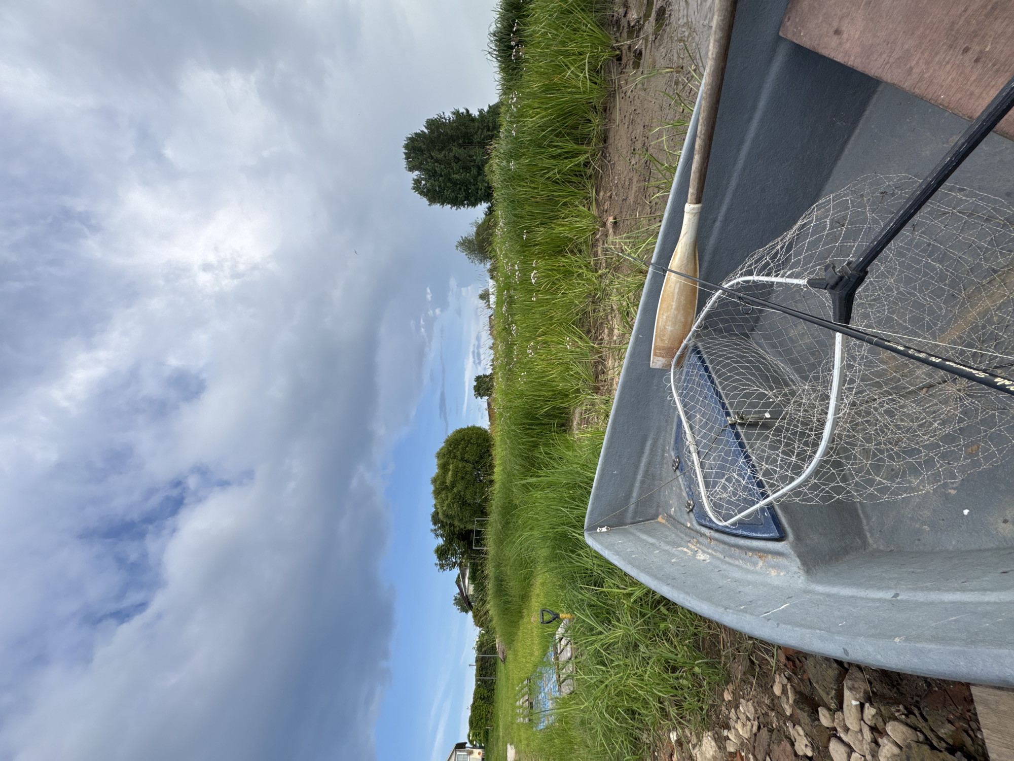 A gray fishing boat rests on the muddy shore of a body of water, angled slightly to the right. Inside the boat, a fishing net with a silver rim and a black handle lies on the floor, partially obscured by a wooden oar with a beige blade. The boat is positioned in front of a dense wall of green grass and reeds, which extends to the horizon. In the distance, several houses and trees are visible, set against a sky filled with dramatic, grey and white clouds. The overall impression is one of a serene, natural environment, possibly in the rural settlement of Sitno, Russia, with hints of human presence through the boat and fishing gear.