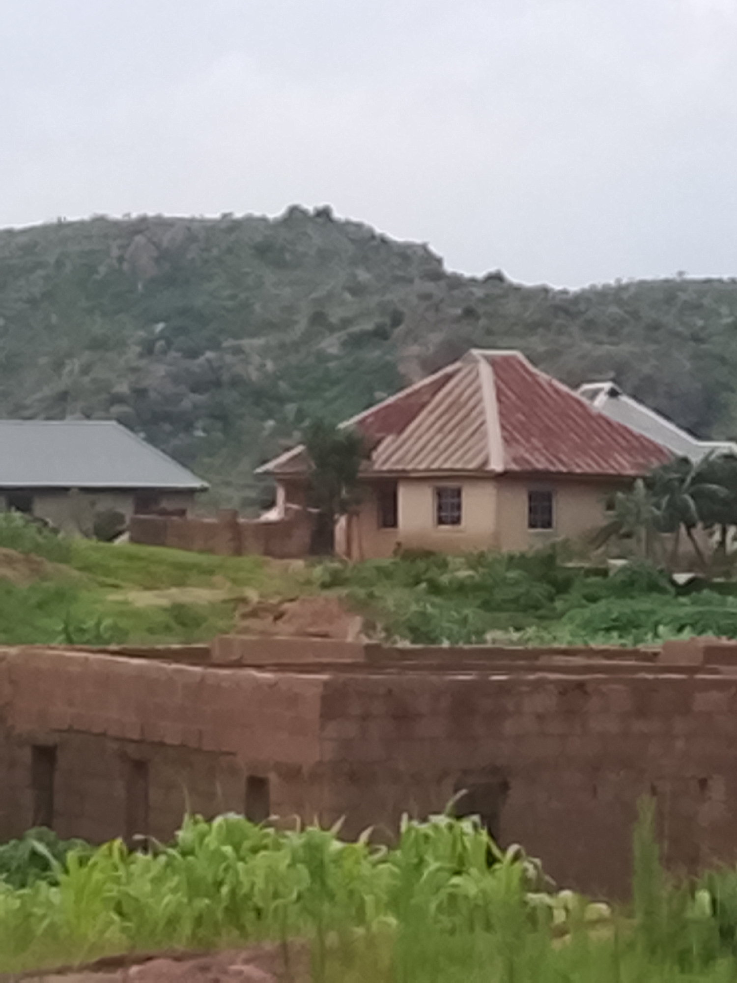 A long shot captures a residential scene in Rafin Bauna, Nigeria, under an overcast sky. In the foreground, a partially constructed building with red brick walls and openings for windows and doors is visible, with lush green vegetation growing in front of it. In the mid-ground, two houses are situated. The house on the left has a grey, sloped roof and appears to be made of concrete. The house on the right features a distinctive red, corrugated metal roof with a hip design and light-colored walls. It has two windows visible on its side. Palm trees and dense green foliage surround this house. In the background, a large, rugged, green hill dominates the landscape, its contours softened by the diffused light.
