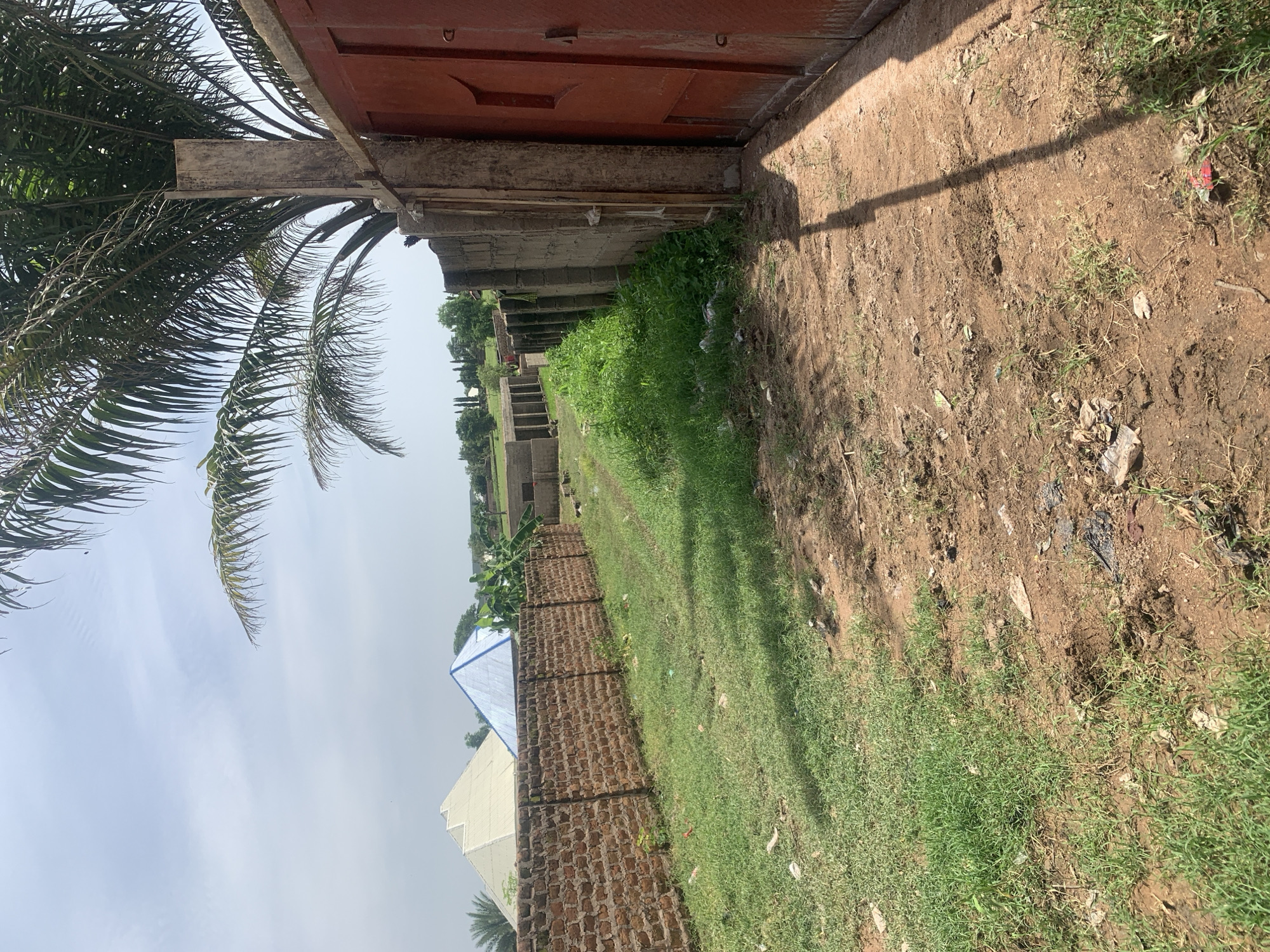 The image depicts a view looking down a dirt path beside a brick wall and a red metal gate. A large palm tree is visible in the upper right corner, casting a shadow across the path. The path is lined with grass and some scattered debris. In the background, beyond the brick wall, are several buildings with pyramid-shaped roofs, one white and one blue. The environment appears to be an outdoor area, likely within a residential or developing area in Jauro Yinu, Nigeria. The sky is cloudy.