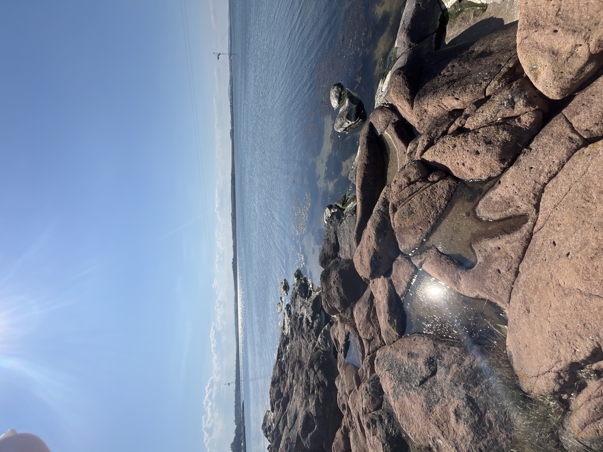 The image shows a coastal scene with rocky terrain in the foreground and a body of water extending into the distance. The rocks are reddish-brown and vary in size and shape, with some areas holding small pools of water reflecting sunlight. The water appears calm and stretches to the horizon, with a clear blue sky above. There is also vegetation in the scene. The image contains no people, subjects, actions, or interactions. The location is Burgas, Bulgaria.