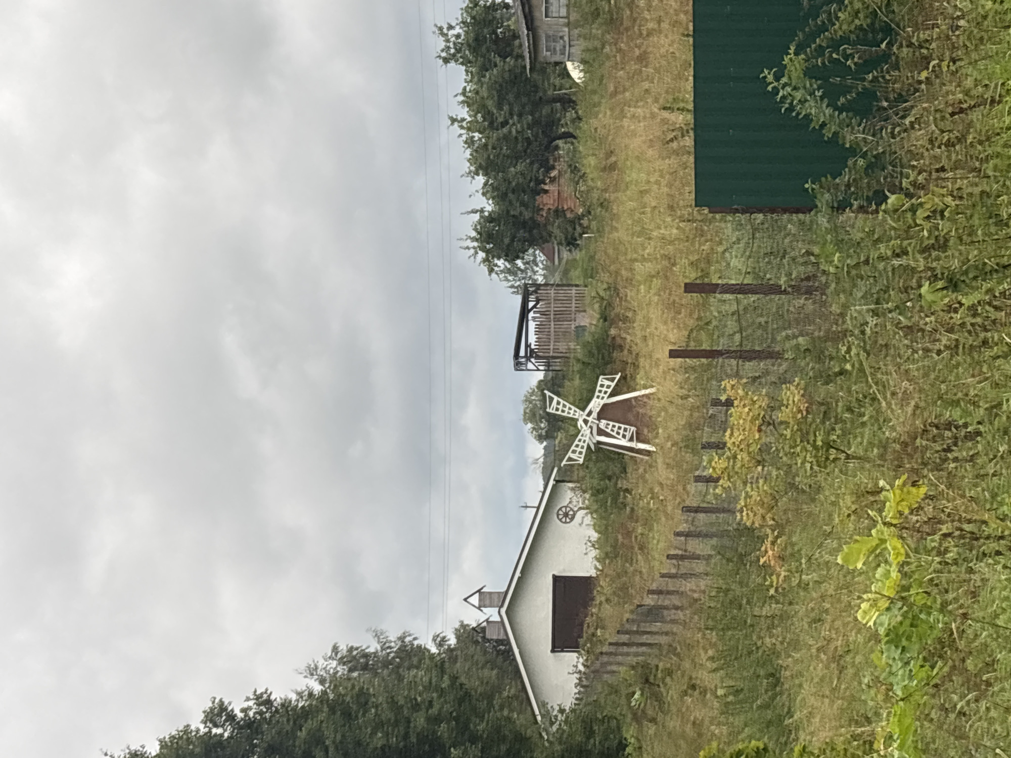 The image depicts a rural scene in the village of Rakovno, Russia, under an overcast sky. The foreground is dominated by overgrown vegetation, with a wire fence running diagonally across the middle ground. Behind the fence, a small white building with a dark-colored garage door and two chimneys on the roof is visible. To the right of the building, a decorative white windmill stands amongst the greenery. Further to the right, a wooden structure resembling an outdoor shelter with a pitched roof and wooden planks is situated. Beyond these structures, more trees and a small, weathered building with a window can be seen. The background consists of trees and the cloudy sky. A green metal fence is present in the right foreground.