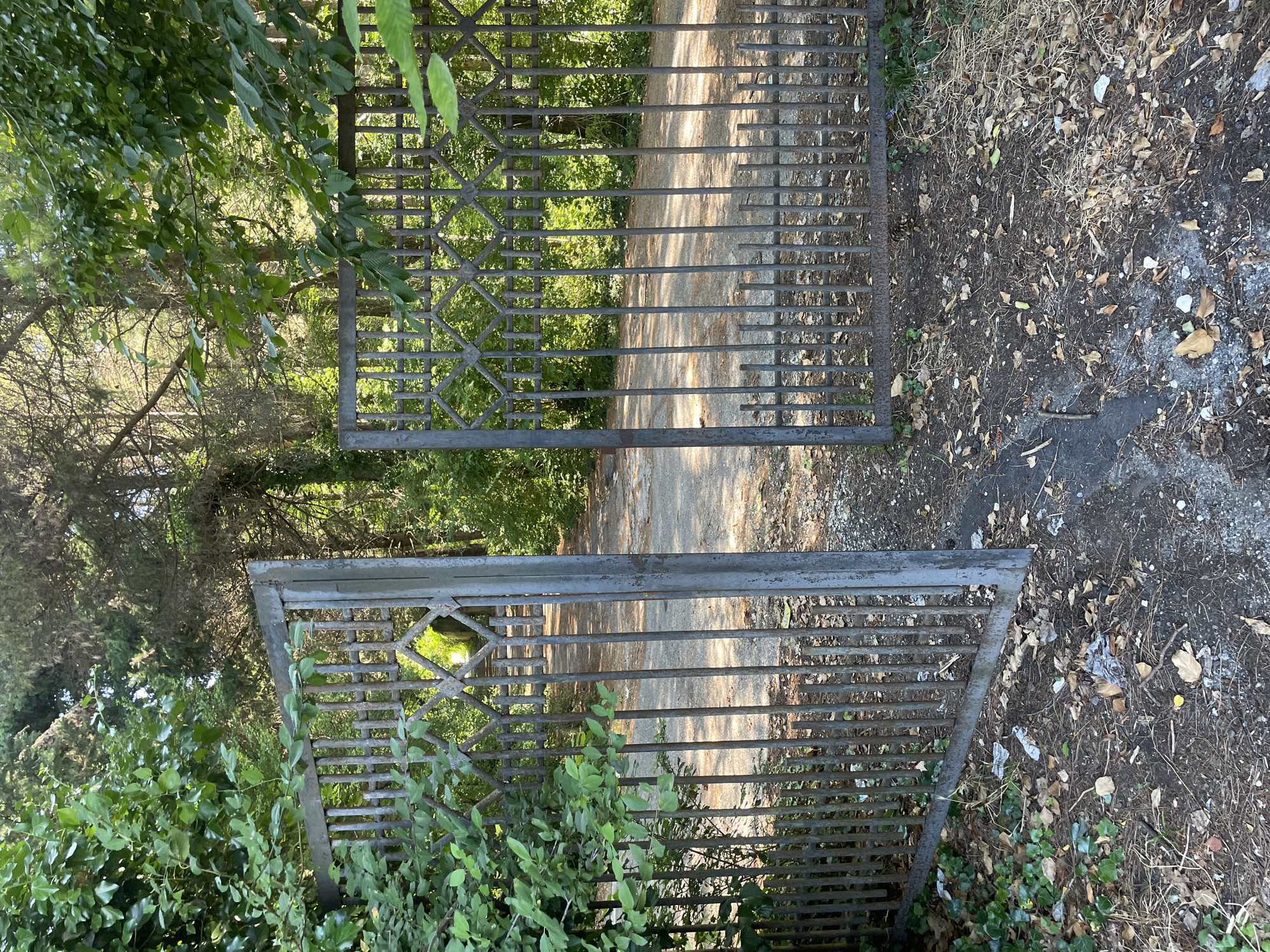 The image depicts an open, rusty metal gate in a natural setting, possibly a park or an abandoned area. The gate has vertical bars and a decorative diamond pattern at the top. Green foliage, including ivy and trees, surrounds the gate, suggesting it is located outdoors in an area with abundant vegetation. The ground in front of the gate is covered with dry leaves, twigs, and some litter, indicating a lack of recent maintenance. Beyond the gate, a dirt or gravel path leads into a wooded area with more trees and undergrowth. The lighting suggests it is daytime, possibly late afternoon due to the shadows. There are no people or animals visible in the image. The overall impression is one of a slightly neglected entrance to a natural space. There is no specific visual information in the image that would allow for pinpointing the location to Sochi, Russia, or any other specific city.