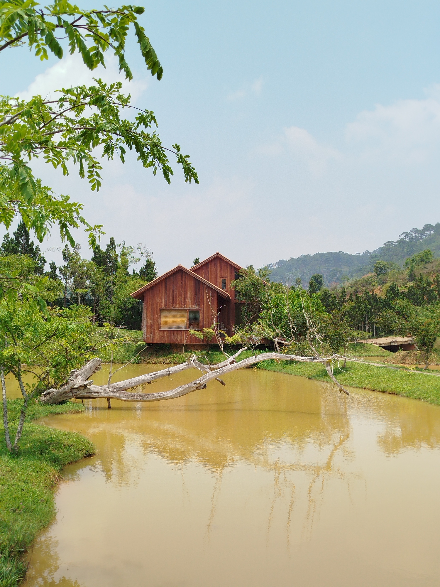 The image presents a tranquil natural landscape centered around two rustic wooden cabins beside a body of water. Lush green foliage from an unseen tree frames the top left, introducing a vibrant foreground element.
The main subjects are two reddish-brown wooden houses, built on the grassy bank of a wide, brownish-yellow body of water, possibly a pond or lake. The houses feature sloped roofs characteristic of cabins, and one has a distinctive horizontal window with a grid pattern. A prominent, light-colored, bare tree branch extends gracefully over the water from the left bank, with another similar branch visible further back. The water itself has a muddy, ochre hue and reflects the sky and surrounding trees.
The scene is set in a verdant environment, with various trees populating the banks and forming a dense forest on a distant hillside in the background. Evergreen conifers are visible near the houses and on the slopes. The sky above is bright blue with scattered white clouds, suggesting clear, fair weather during daytime, likely late morning or early afternoon given the bright illumination.
There is no discernible human activity taking place, lending a sense of peaceful solitude to the scene. No visible text is present in the image. The natural elements combined with the distinct wooden architecture evoke a secluded retreat, consistent with a location like Đa Nghịt 1, Vietnam, known for its natural beauty and mountainous terrain.