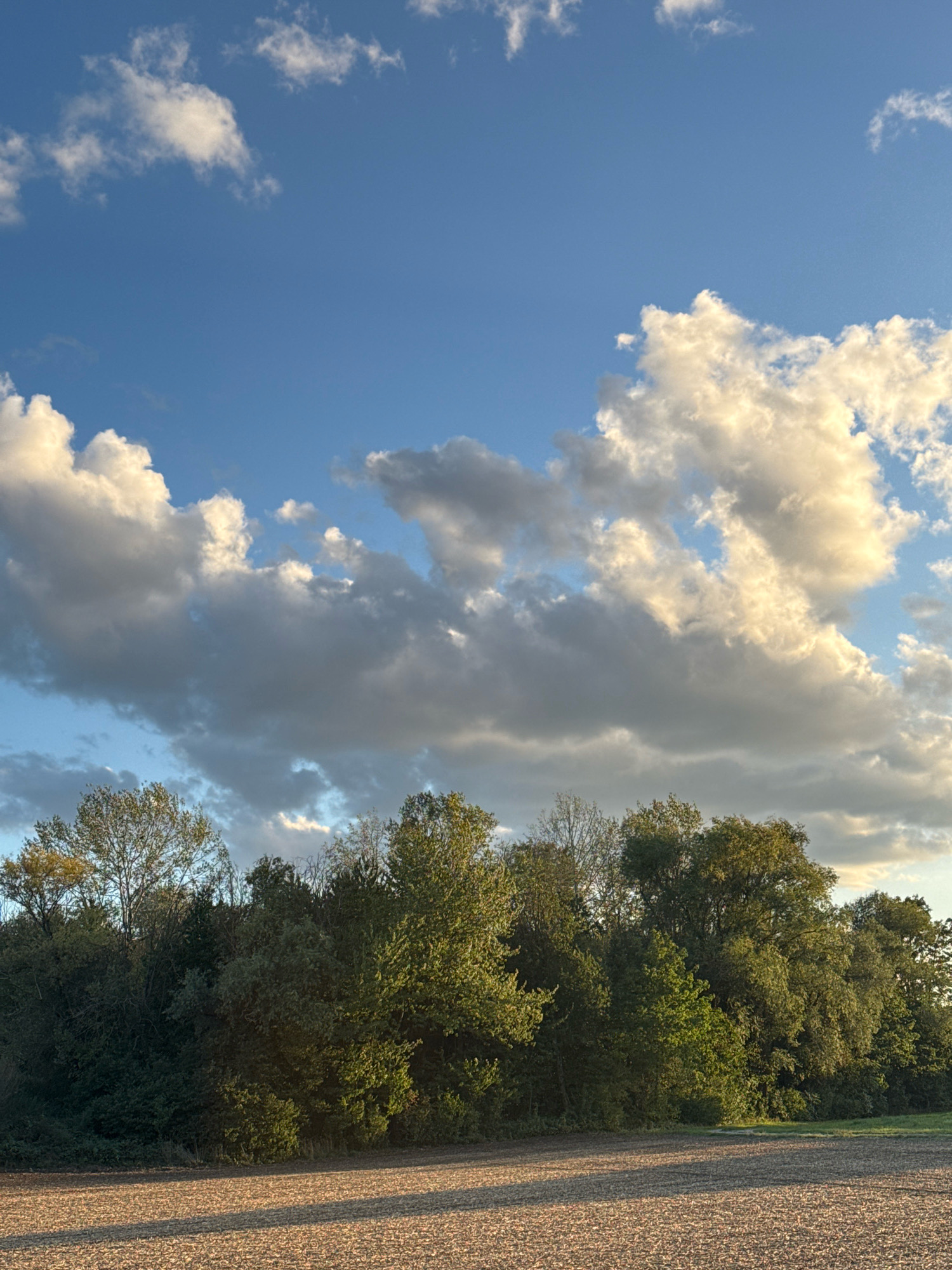 A low-angle, vertical shot captures a rural landscape under a dynamic sky. In the foreground, a ploughed field stretches across the bottom of the frame, its brown earth marked with straight furrows. Beyond the field, a dense line of trees forms a dark green border, their leaves catching the warm, golden light of the sun. The trees vary in height and density, creating a textured silhouette against the sky. The upper two-thirds of the image is dominated by a vast blue sky, populated by dramatic, billowy clouds. These clouds are illuminated from the side, casting shadows and highlighting their voluminous forms, with some edges glowing brightly in the sunlight. The scene appears to be a quiet, natural setting on the outskirts of Wettstetten, Germany, likely during the late afternoon or early evening based on the lighting. There are no people or animals visible in the frame.