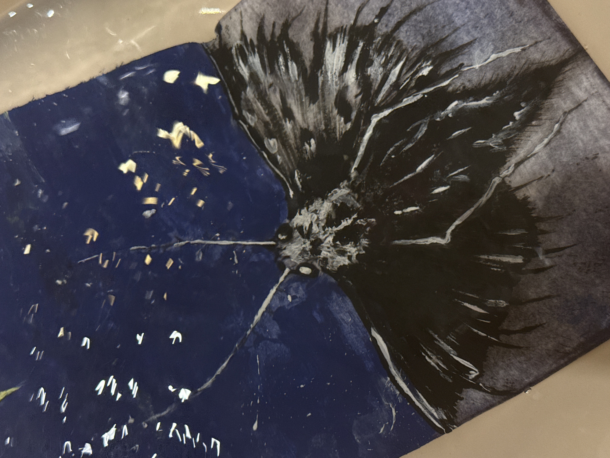 The image shows a painted image of a butterfly. The left side of the background is blue with white and gold specks and streaks. The right side of the butterfly's wings are depicted in shades of black and grey with white streaks. The body of the butterfly is in the center, rendered in white, black, and grey. The background is a neutral color, possibly tan. The picture is taken at a slight angle, showing that the artwork is likely on a flat, horizontal surface. The location in the city of Saint Petersburg, Russia is unknown.