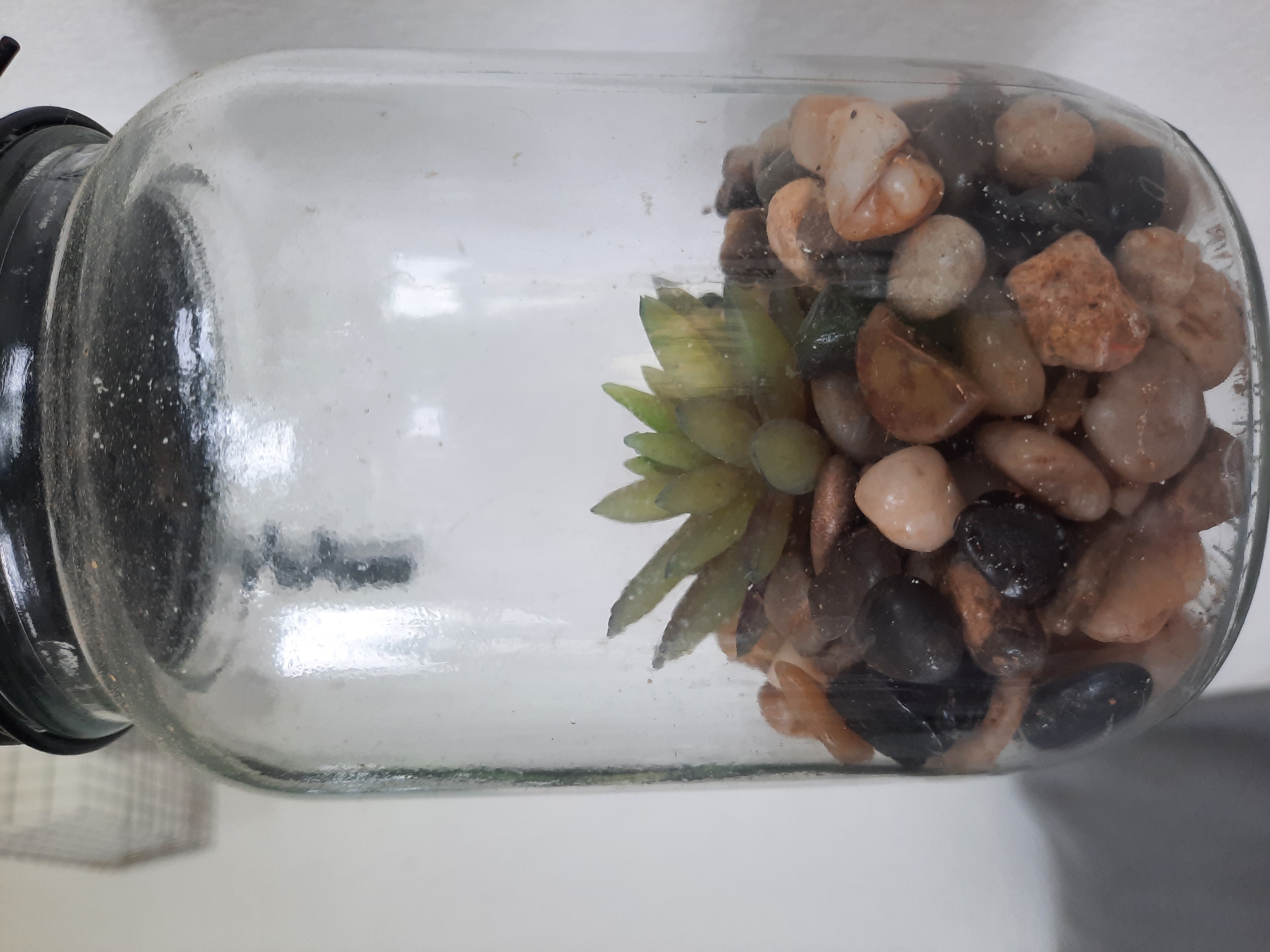 A glass jar, likely a repurposed food container, is filled with decorative pebbles and a small, artificial succulent plant. The jar is sealed with a black lid. The scene appears to be indoors, with a white wall in the background. The jar is positioned at eye level. There is no indication of the city of Rosenheim, Germany in the image.
