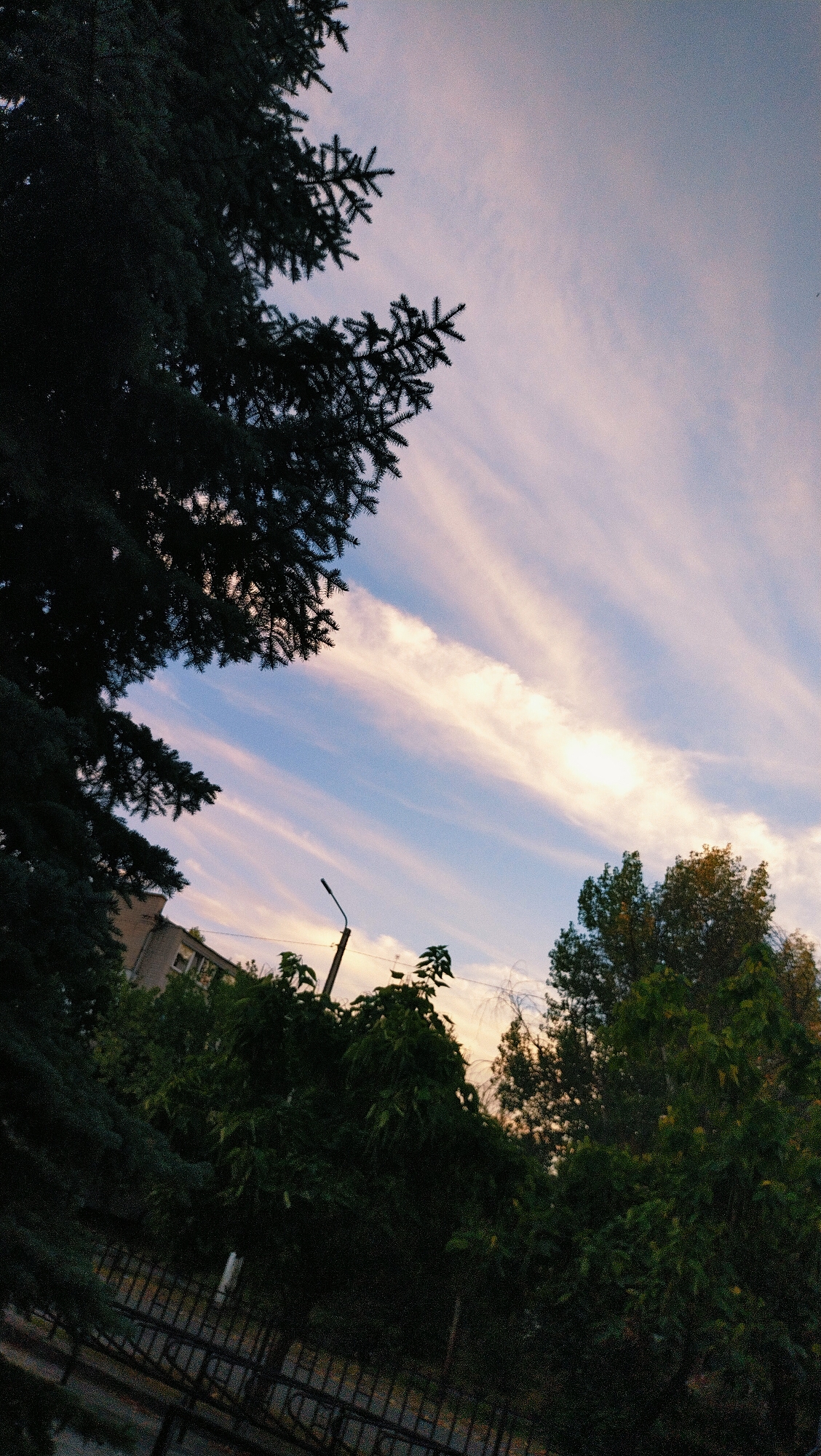 The image depicts a view of the sky and trees, likely taken from a low vantage point looking upwards. The sky is a mix of pale blue and soft pink hues, with wispy white clouds streaking across it. In the foreground, the dark silhouette of a coniferous tree dominates the left side of the frame, its branches reaching towards the sky. Below the tree, glimpses of a building and dense green foliage are visible. A street lamp on a pole is positioned slightly off-center to the right, rising above the trees. The overall impression is one of an outdoor scene, possibly a park or residential area, under a dusky or cloudy sky. The image does not contain any discernible people or specific actions taking place. There are no identifiable landmarks that would pinpoint the location to Horishni Plavni, Ukraine, or any other specific city.