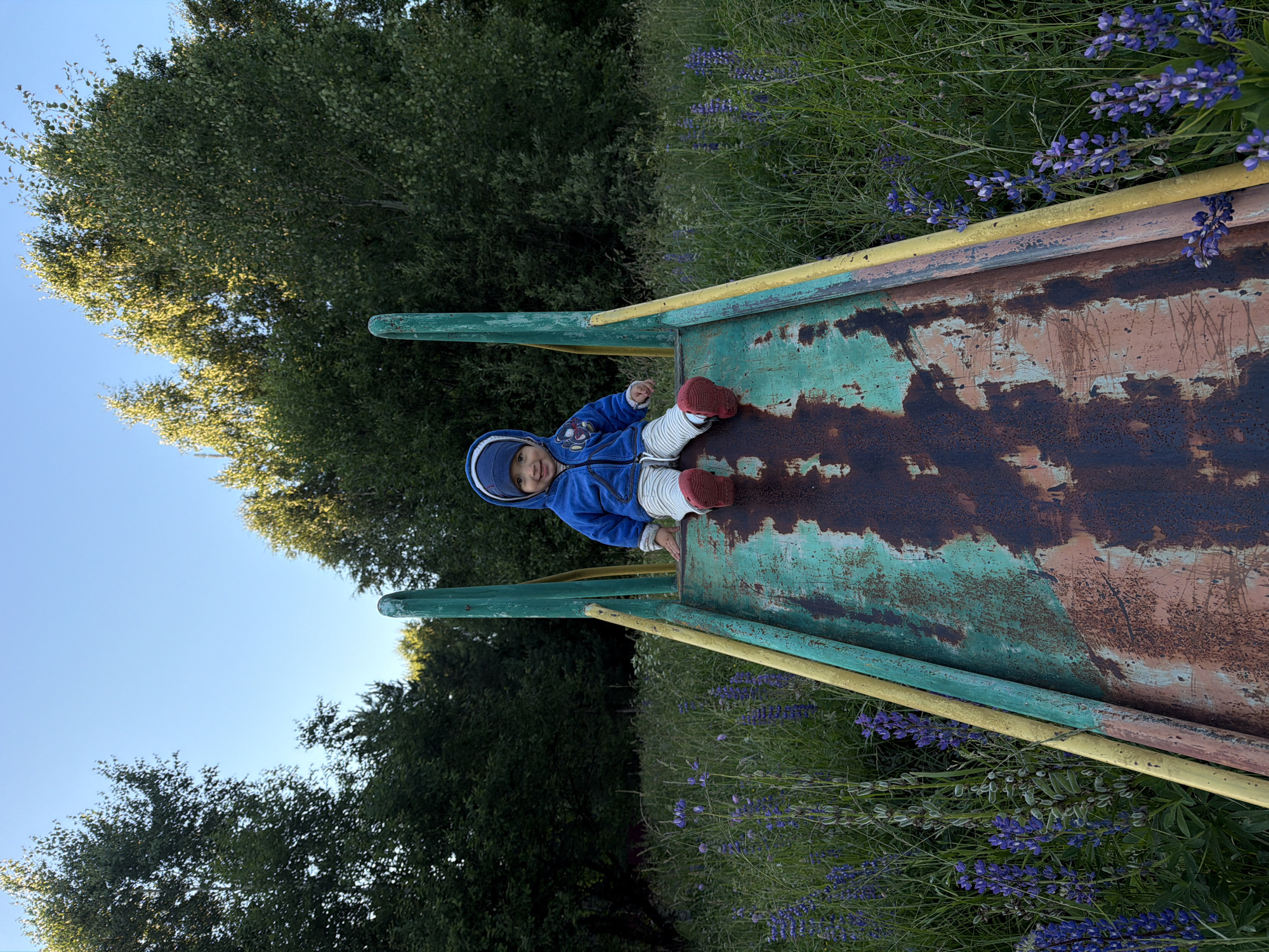 A young child, wearing a blue hooded jacket, striped pants, and red shoes, sits at the top of a weathered, rusty metal slide. The slide is set in a grassy field with abundant purple lupine flowers. Behind the slide and field, a dense line of green trees forms a backdrop under a clear blue sky. The scene suggests an outdoor recreational area, possibly a park or a backyard, in a natural, somewhat unkempt setting.