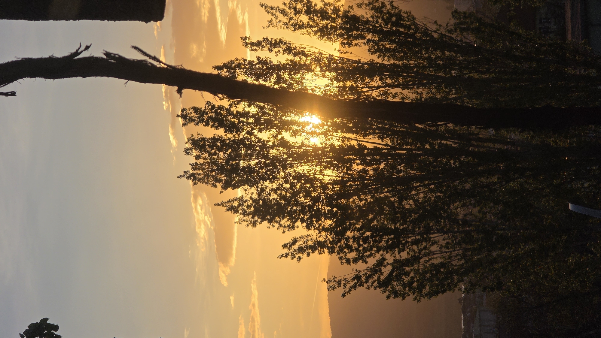 This media file captures a picturesque sunset or sunrise scene, characterized by warm, golden hues dominating the sky. The primary subjects are several large trees and their dense foliage, which are silhouetted against the bright backlight of the sun. The sun itself is visible as a brilliant, starburst-like point of light, partially obscured by the tree branches and leaves, creating a dramatic halo effect.
The sky transitions from a soft, light blue on the left to vibrant orange and yellow tones towards the right, where the sun is positioned low on the horizon. Scattered clouds, illuminated by the sun's golden light, add texture to the sky. In the upper left corner, a thick, broken tree trunk or large branch is prominently silhouetted against the lighter sky, extending diagonally across the frame.
In the distant background, shadowy outlines of hills or mountains are discernible, blending with the atmospheric haze created by the low sun. Below these natural landforms, faint suggestions of a cityscape or buildings can be glimpsed, adding a subtle urban context to the natural beauty. The strong backlighting casts most of the foreground into deep shadow, enhancing the silhouettes of the trees and emphasizing the radiant sky. There are no people visible, nor any discernible text within the image. The serene and glowing ambiance suggests a tranquil moment during the golden hour in what could be the landscape surrounding Blagoevgrad, Bulgaria.