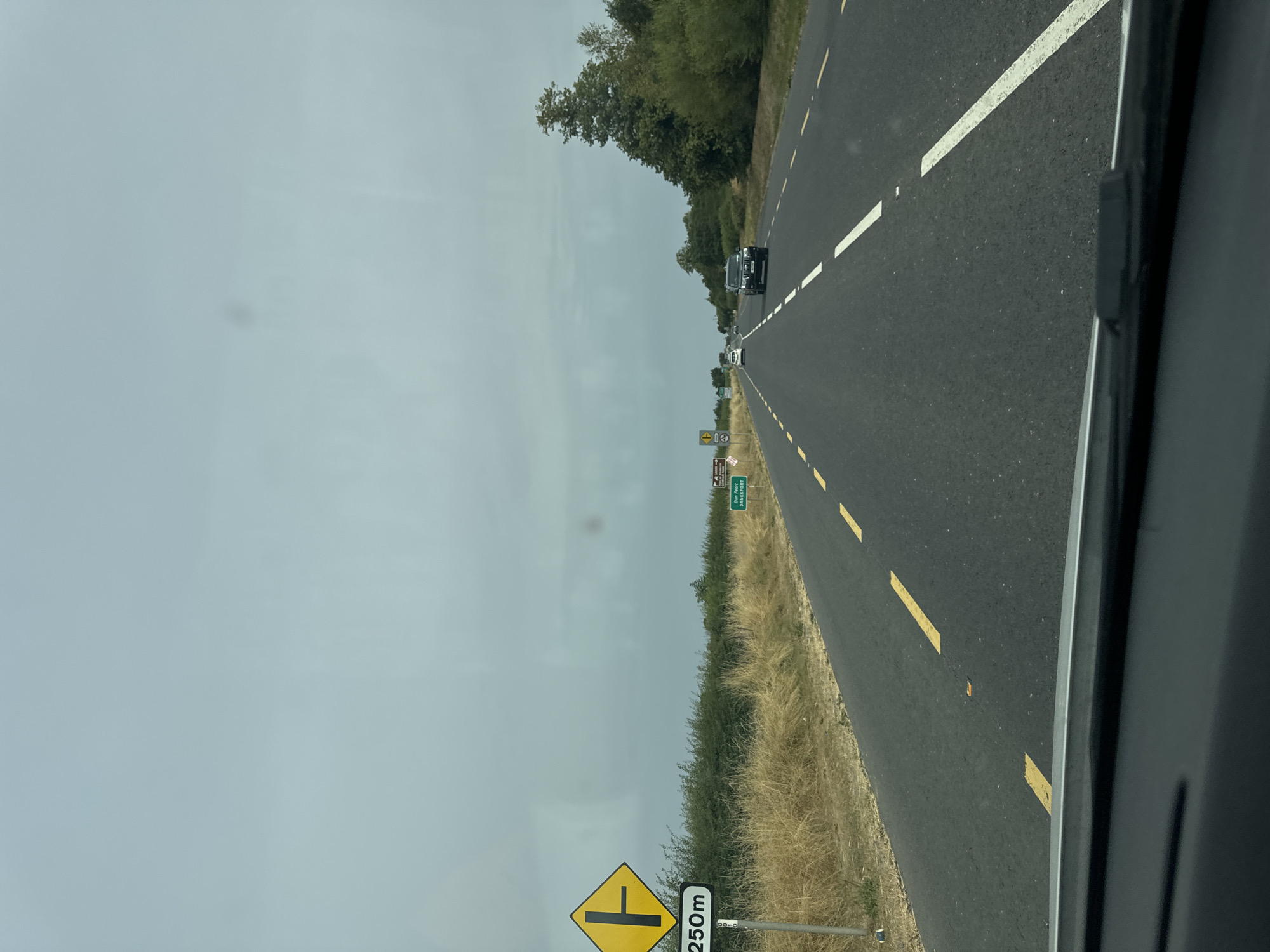 An exterior, eye-level, medium shot captures a view from a vehicle traveling on a paved road with a cloudy sky overhead. To the left, a yellow, diamond-shaped road sign with a black symbol depicting a T-junction is visible, accompanied by a black and white rectangular sign below it displaying "250m". Beyond the sign, dry, tall grass and green bushes line the side of the road. In the distance, several vehicles are driving in the same direction as the camera. On the right side of the road, a line of trees and green foliage is present. Further down the road, two green directional signs are planted on poles. One sign, in smaller print, appears to indicate a destination and possibly a park. The other sign displays "Dun Fest DANE SFOR T". The road has distinct yellow and white lane markings. The foreground shows the dark interior of the vehicle's dashboard and windshield wiper area.
