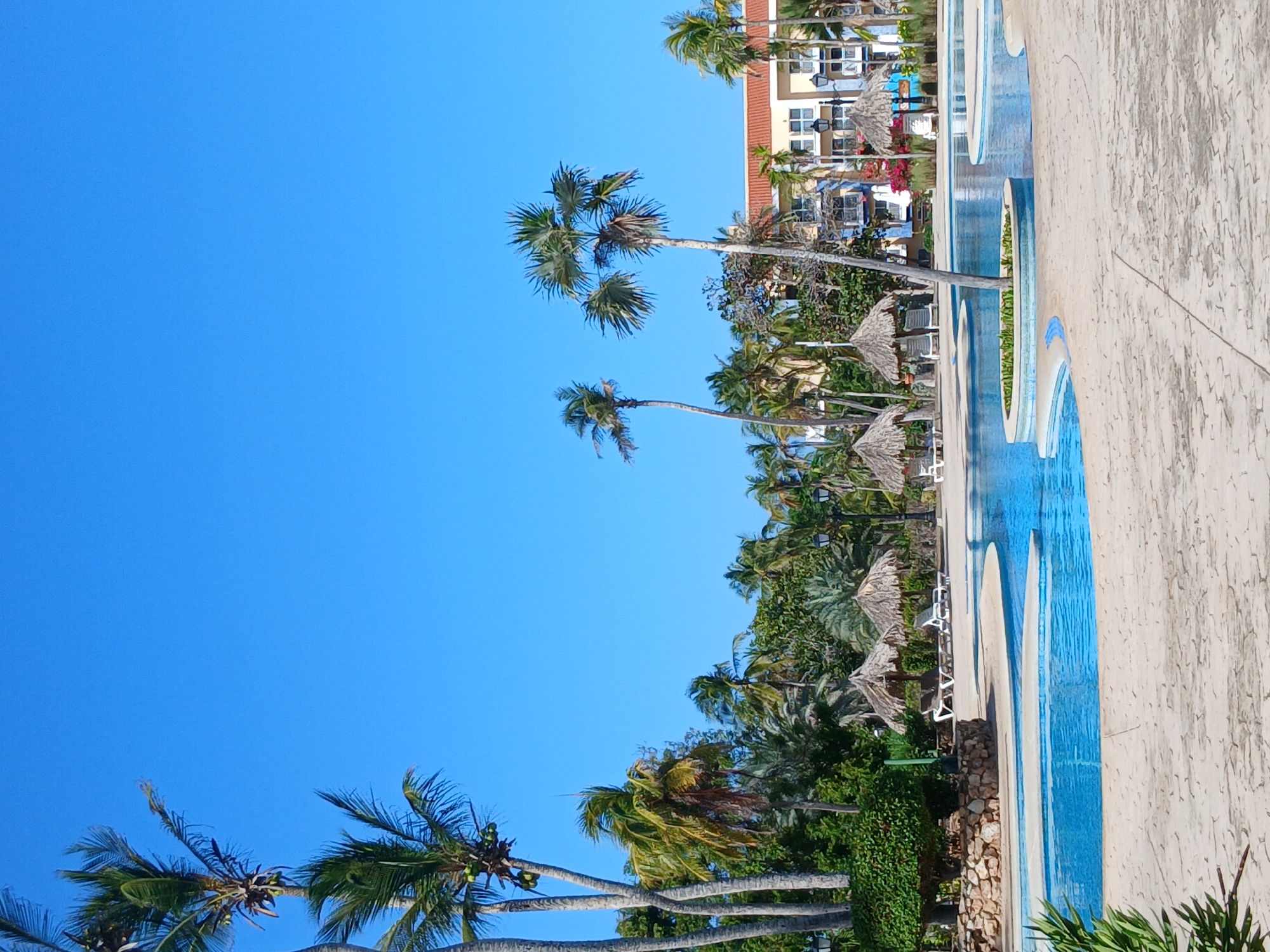The image captures a sunny scene in Playa El Agua, Venezuela, featuring a swimming pool complex adjacent to a tropical landscape. The pool's edge is visible in the foreground, with blue water bordered by a light-colored concrete deck. Beyond the pool, palm trees and other tropical vegetation are interspersed with thatched-roof sun umbrellas, creating a resort-like atmosphere. A building, possibly a hotel or condominium, is seen in the background. The sky is a clear, vibrant blue. No people are visible in the frame.