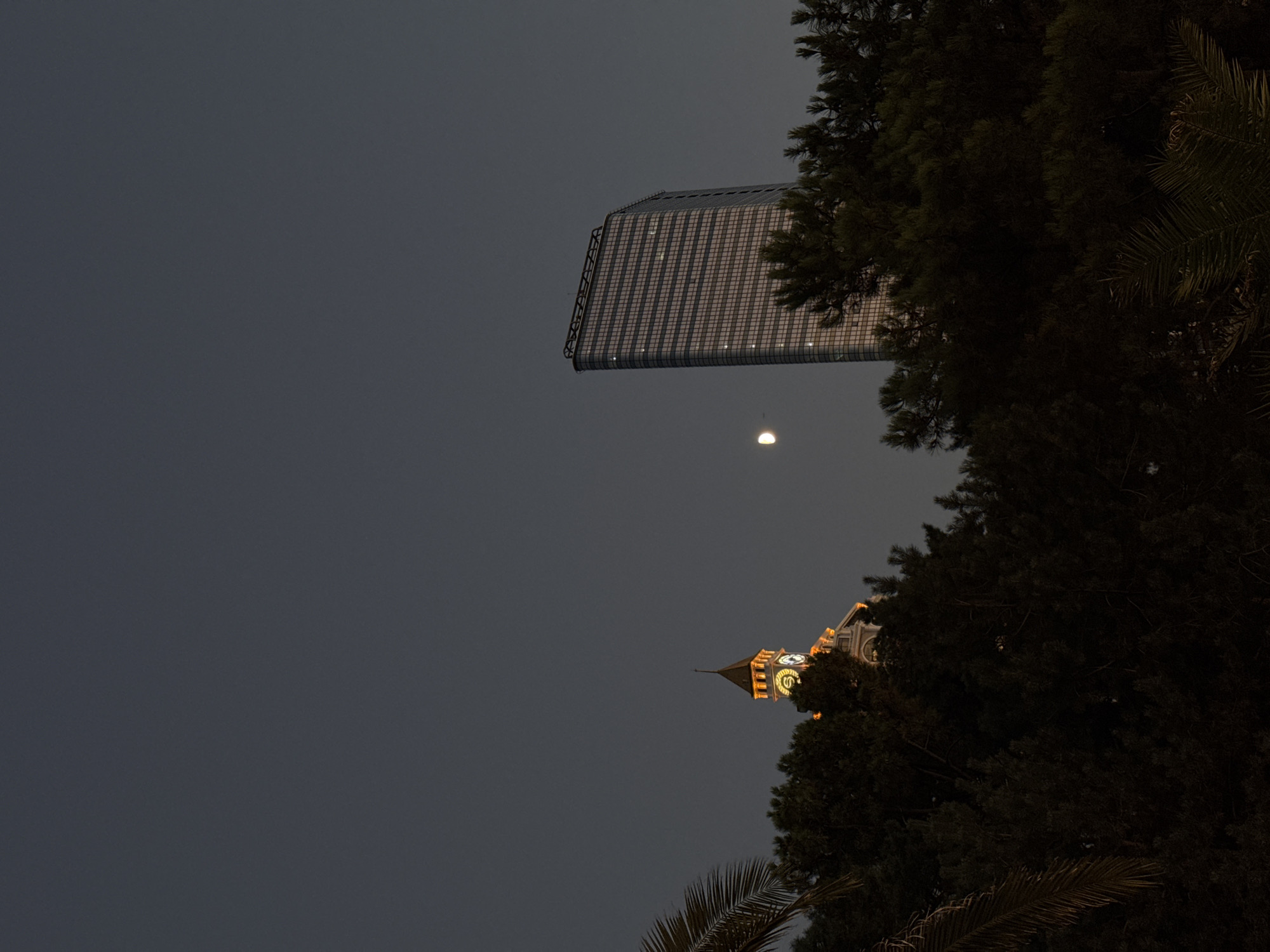 The image shows a nighttime view of the Batumi skyline in Georgia, with a crescent moon visible in the dark sky. On the left, a historic clock tower, possibly part of the Batumi City Hall, is illuminated with warm yellow lights, its spire reaching upwards. In the center, a modern, glass-faceted skyscraper stands tall, reflecting the faint light. Lush dark green trees and palm fronds form a dense foreground, partially obscuring the base of the buildings and adding a natural element to the urban landscape.