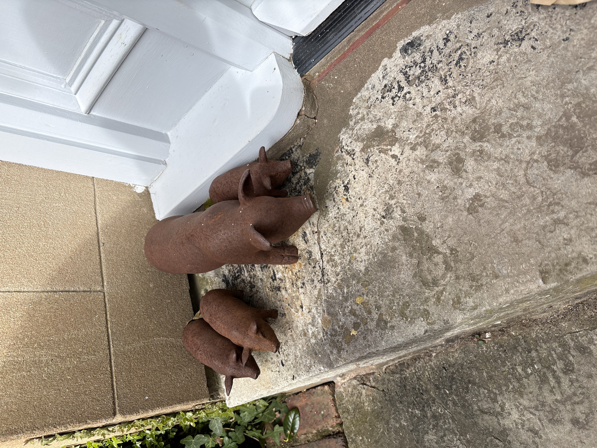 A close, slightly angled shot shows a set of four small, rusted, cast-iron pig figurines arranged by a doorway in Pulverbatch, United Kingdom. The figurines, a large sow and three piglets, sit on an uneven, weathered concrete surface. The edge of a white painted doorframe is visible to the left and above the pigs. Below the pigs, green ivy and other small plants grow along a brick-lined edge of the concrete. The concrete continues to the right and downwards, becoming increasingly weathered. The pigs are positioned near the base of the doorway, seemingly placed as decorative elements.