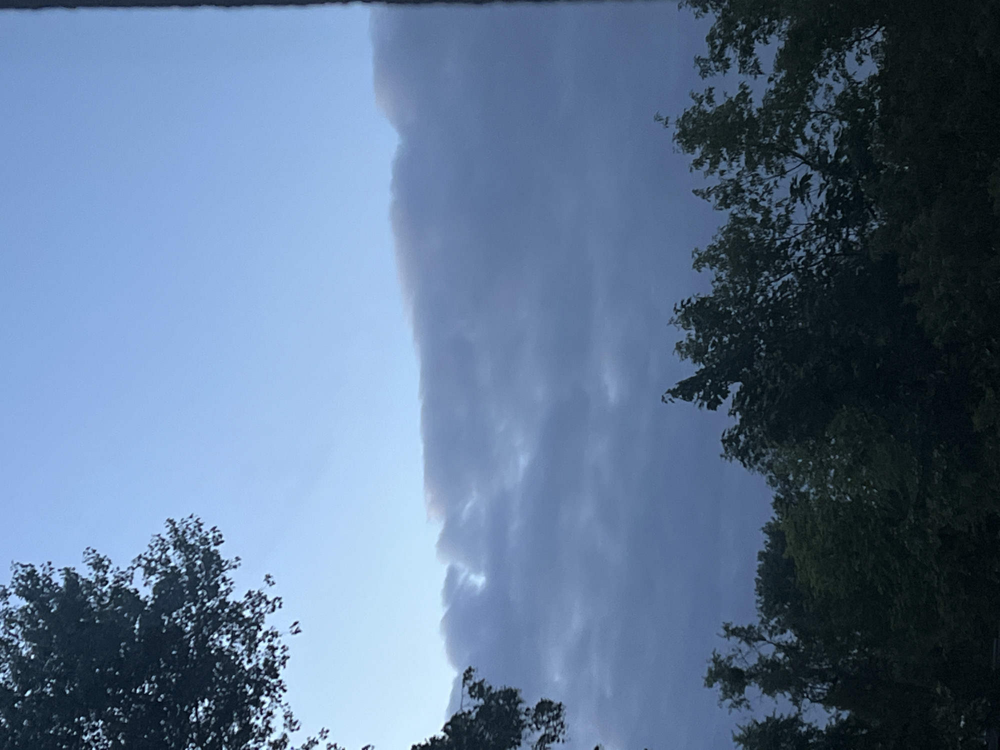 A cloudy sky is visible above a dark silhouette of trees. A thin, vertical dark line runs down the right edge of the image, suggesting a partial frame or obstruction. The sky transitions from a clear, pale blue at the top to darker, grayer clouds as it moves down. The trees are dense and dark, obscuring any details of the ground or further landscape. The overall impression is that of an outdoor scene, likely taken during twilight or overcast conditions. Without additional information, it is not possible to determine the specific location within Warsaw, Poland.