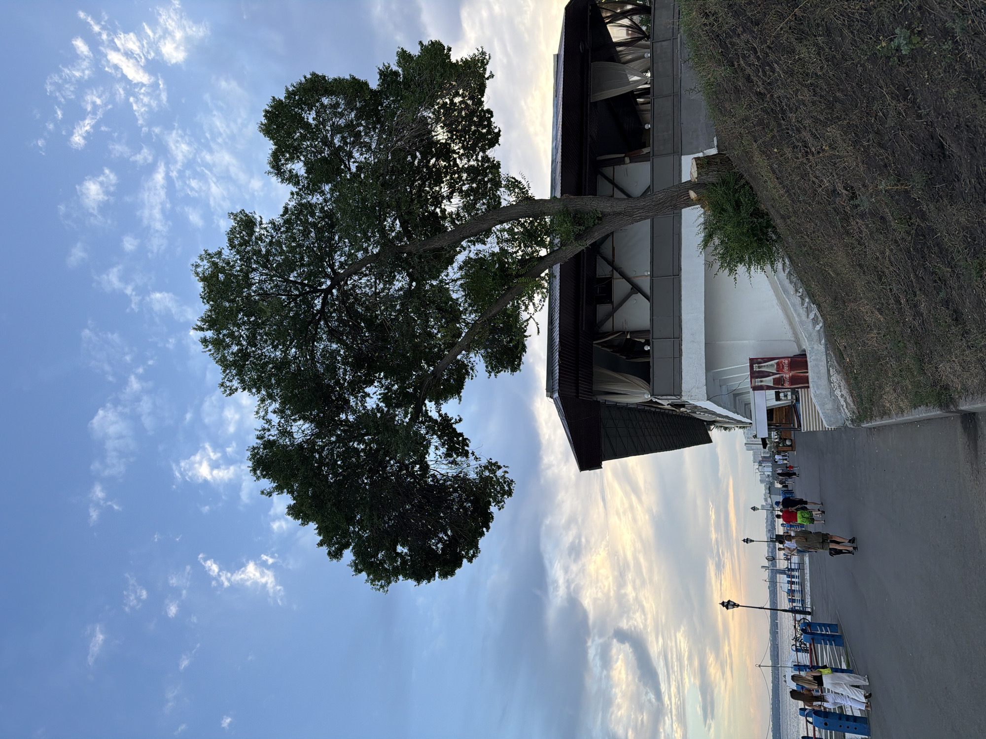 The image depicts a scene along a waterfront promenade in Saratov, Russia, likely during the late afternoon or early evening, given the lighting. A large tree with dense foliage dominates the right side of the frame, its branches extending over a building with a dark, sloped roof and white facade. The building appears to be a cafe or restaurant, with curtains visible behind large windows.
The promenade itself is paved and runs parallel to the water, which is visible on the left. Several people are walking along the promenade in both directions. Some are dressed casually in shorts, t-shirts, and light clothing, suggesting warm weather. A dog is also seen walking with its owner. Lampposts line the promenade, spaced at regular intervals. In the background, a city skyline with numerous buildings is visible across the water, with a few boats on the water.
The sky above is partly cloudy, with streaks of white clouds against a blue backdrop, and areas where the clouds are tinged with the warm colors of sunset or sunrise. The ground on the right side of the promenade slopes upwards and is covered with dry grass and earth, with a small bush growing near the base of the tree. The overall atmosphere is serene and suggests a public space for recreation and leisure.