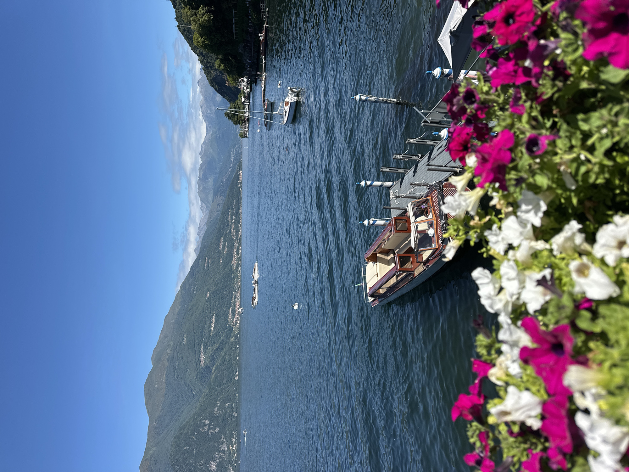 The image depicts a serene waterside scene in Varenna, Italy, dominated by the deep blue waters of Lake Como. In the foreground, a vibrant array of pink and white petunias spills into the frame, softening the view of the lake and the docked boats. A small, elegant wooden boat, likely a taxi or private launch, is moored to a weathered wooden dock. The boat features plush seating and polished woodwork, suggesting a touch of luxury. The dock itself is lined with striped bollards, adding a nautical charm.
In the mid-ground, a white sailboat with its mast reaching towards the clear blue sky bobs gently on the water. Several other vessels, including a few smaller motorboats, are visible further out on the lake, suggesting a lively day of recreation. The backdrop is a breathtaking panorama of lush green mountains that rise dramatically from the lake's edge. The slopes are dotted with scattered houses and villages, hinting at the picturesque settlements that characterize the region. The distant peaks are shrouded in a light haze, adding depth and a sense of scale to the landscape. The overall atmosphere is one of tranquility and natural beauty, embodying the idyllic charm of the Italian Lakes.
