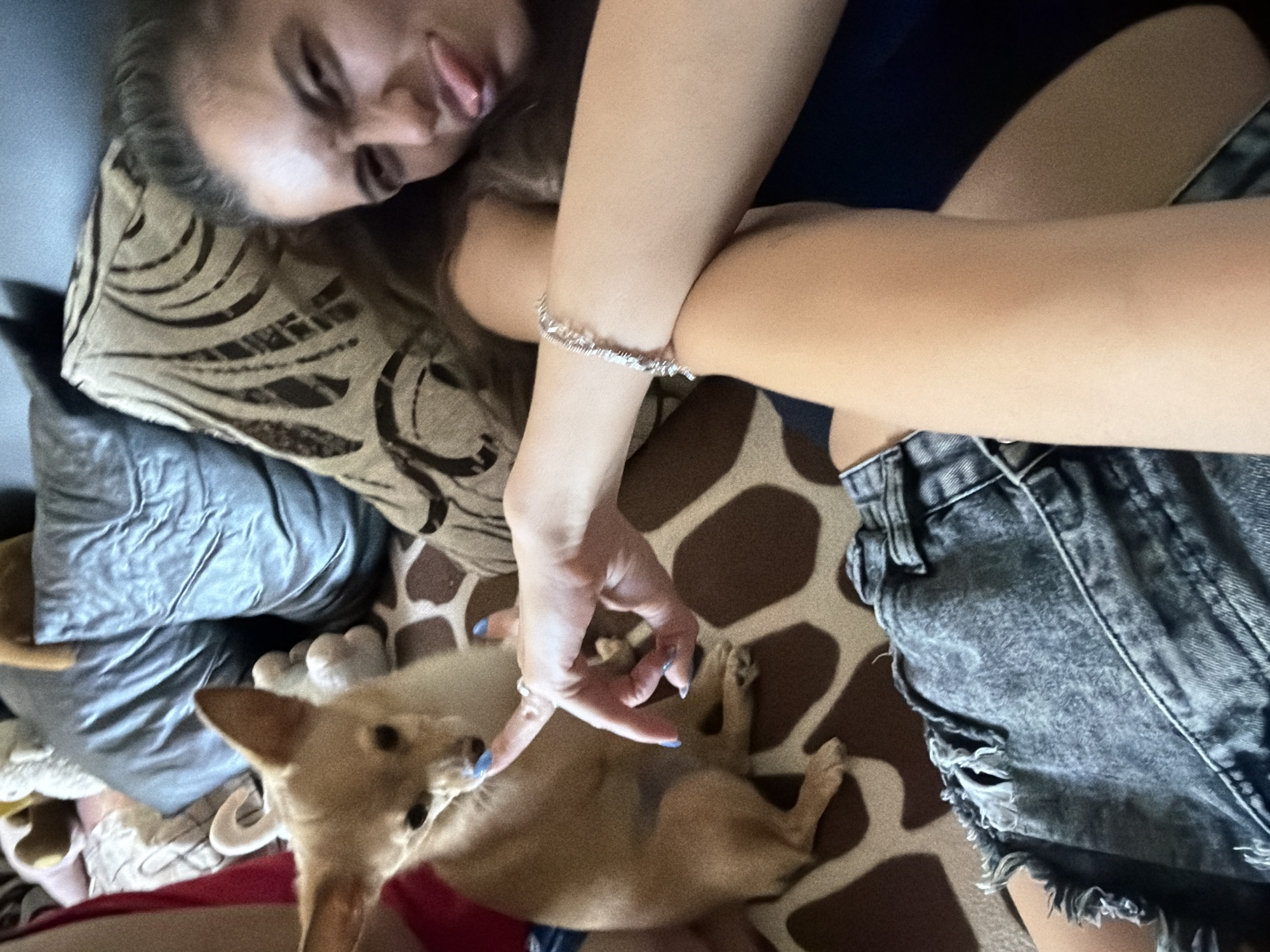 The image shows a close-up of a woman and a chihuahua. The woman, partially visible, is on the right side of the frame, making a funny face with her tongue sticking out. She is wearing a dark blue top and her arm is crossed over her chest, adorned with a silver bracelet. Her hair is dark and pulled back. On the left, the chihuahua, a small tan dog, is sitting and looking down. A woman's hand, with blue nail polish, is gently touching the dog's nose. The background consists of pillows and a patterned sofa. The overall impression is a casual, indoor scene, likely a living room or bedroom. The image is a selfie taken from a low angle.
