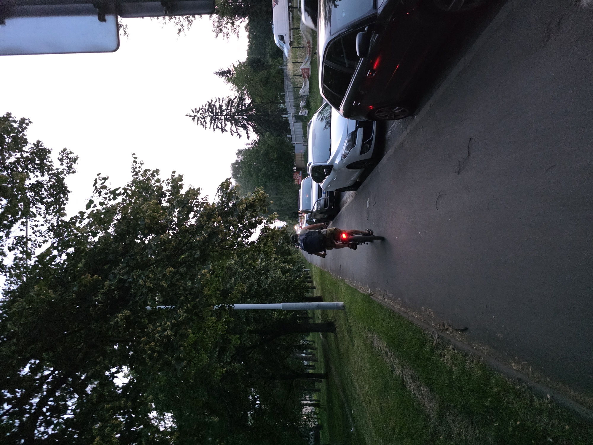 A cyclist rides a bicycle on a paved path in the late afternoon. The cyclist is wearing a dark backpack and shorts. The path is bordered by a grassy area with trees and a street with parked cars. A street light is visible on the left side of the path. The sky is overcast.