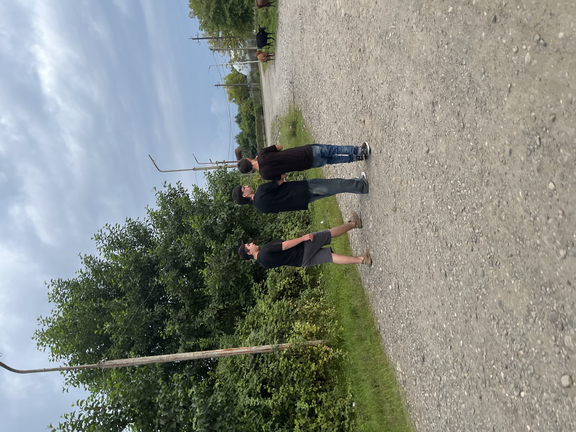 Three young males are walking on a gravel road in Ureki, Georgia, on an overcast day. The male on the left wears a black t-shirt, grey shorts, and brown shoes. The middle male wears a black t-shirt, blue jeans, and black and white sneakers. The male on the right wears a black t-shirt, blue jeans, and black sneakers. They are walking away from the camera.
To their left is a dense green hedge and a tall utility pole with a light fixture. To their right, further down the road, are several cows and a white domed building. The sky is cloudy and grey. The road is made of small stones and dirt.