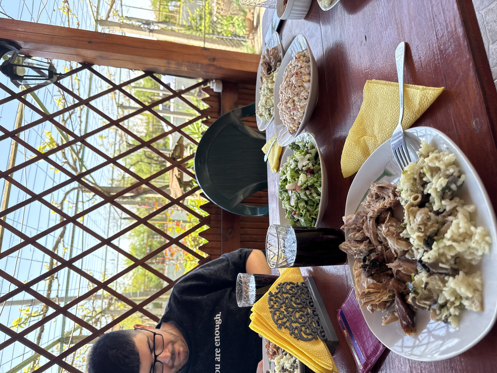 The scene depicts a person with dark hair and glasses, wearing a black T-shirt, sitting at a wooden table. The table is set with several plates of food, including meat, rice or risotto, and salad. There are also glasses of dark liquid, possibly a beverage, and yellow napkins in a decorative napkin holder. A green plastic chair is visible behind the table.
The setting appears to be an outdoor or semi-outdoor dining area, possibly a veranda or patio, with a wooden lattice structure visible behind the person. Through the lattice, there's a glimpse of greenery and a structure resembling a greenhouse.
The image is taken from an unusual angle, making it necessary to infer the positioning of objects and people. Based on visual cues and context, the location is presumed to be in Rusokastro, Bulgaria, as per the prompt.