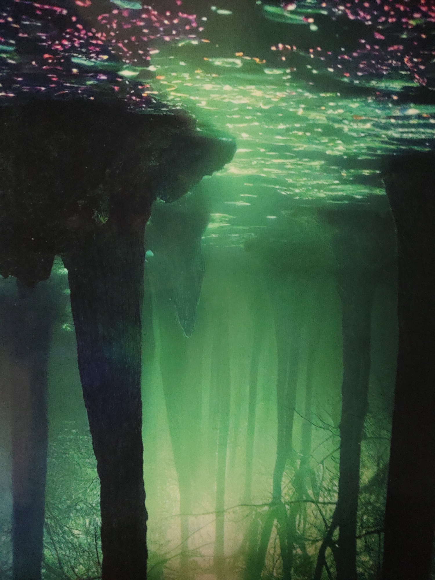 The image displays a deeply atmospheric scene, dominated by an ethereal green luminosity and an inverted perspective. The upper portion of the frame features a dark, shimmering surface, intricately textured with numerous small, brightly colored specks in hues of pink, purple, orange, and light green, consistent with disturbed water reflecting light or containing particulate matter.
Below this surface, a large, irregular dark mass extends downwards into the frame. From this mass, several thick, dark, vertical structures, resembling tree trunks or robust roots, descend into the lower sections. These prominent foreground structures are heavily silhouetted against a luminous, hazy green light that permeates the lower two-thirds of the image.
Further into the depth, an ethereal "forest" of additional dark, slender vertical forms, consistent with tree trunks, is visible, receding into the brilliant green glow. These forms appear slightly out of focus, enhancing the sense of depth and atmospheric effect. Bare branches or tangled undergrowth in silhouette can be observed at the very bottom of the frame. The overall impression is that of an underwater forest scene or a reflection of a forest through water, with light source appearing from below or behind the submerged elements.
No human figures, animals, or man-made objects are discernible within the scene. The precise location is unknown.