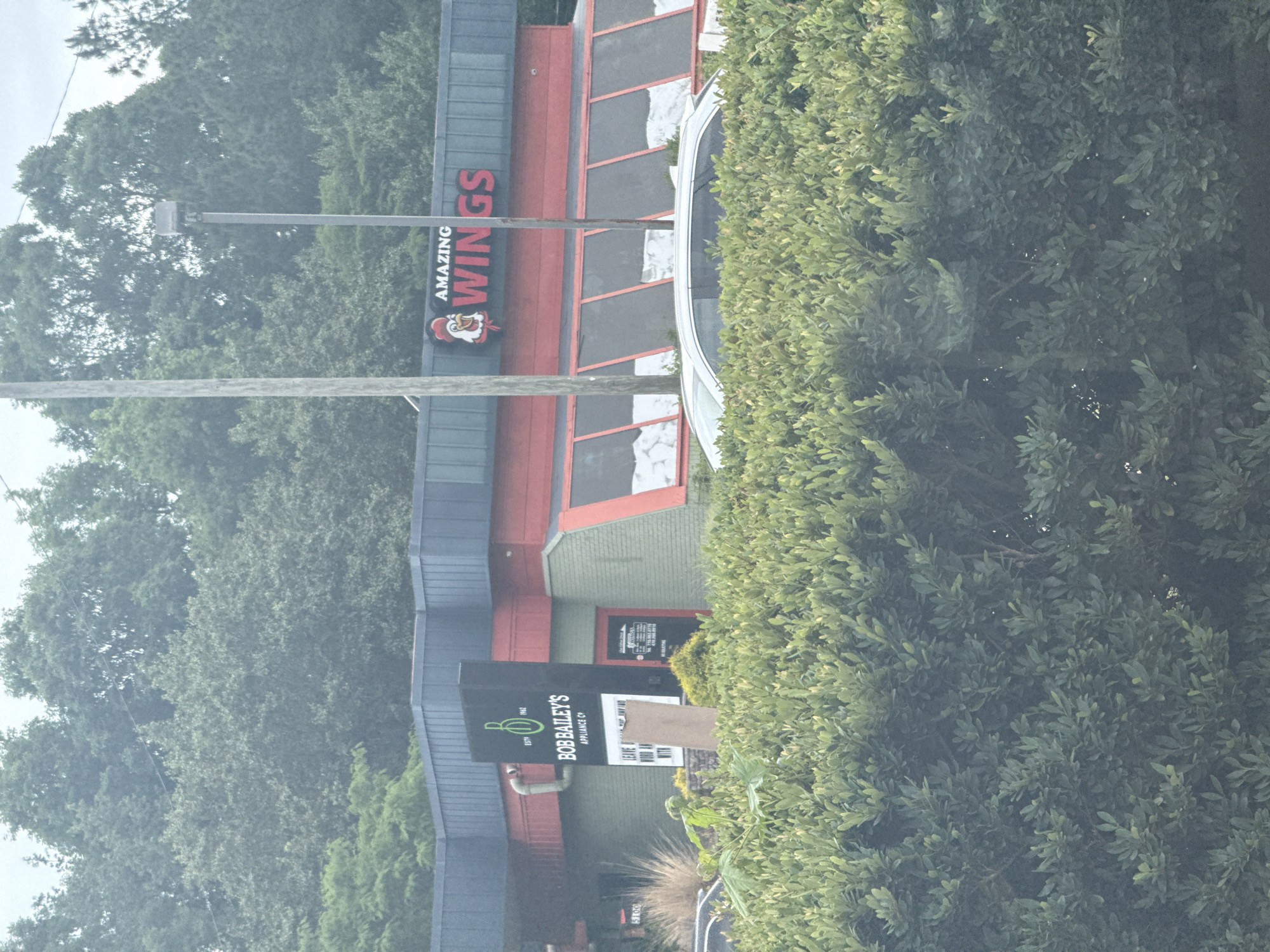 The image shows two commercial buildings in Stone Mountain, Georgia. One building hosts "Amazing Wings," identifiable by its signage with a chicken logo and red lettering. Adjacent is "Bob Bailey's Appliance Co.," indicated by a sign with an intertwined "B" logo. A light post stands near "Amazing Wings." The foreground has dense foliage, partially obscuring a white car. The background consists of trees.