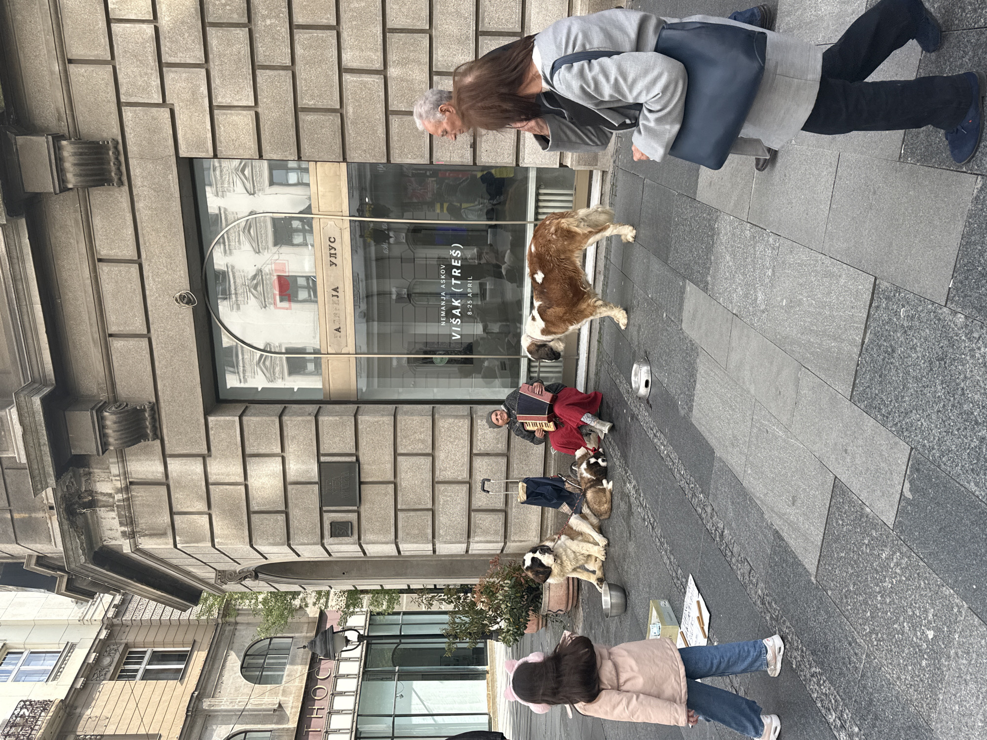The image captures a street scene in an urban setting. An elderly man and woman stand on a gray-tiled sidewalk, looking at a St. Bernard dog standing near a storefront with a glass display window that has an advertisement for a Visak exhibition from April 8th to 25th. A street musician is seen sitting nearby with an accordion, accompanied by several St. Bernard dogs. A young girl with pink hair accessories is visible near the ground, and there are metal bowls possibly used for collecting money or providing water for the dogs. There are also various buildings with architectural details on the edges of the photo, adding to the urban context.