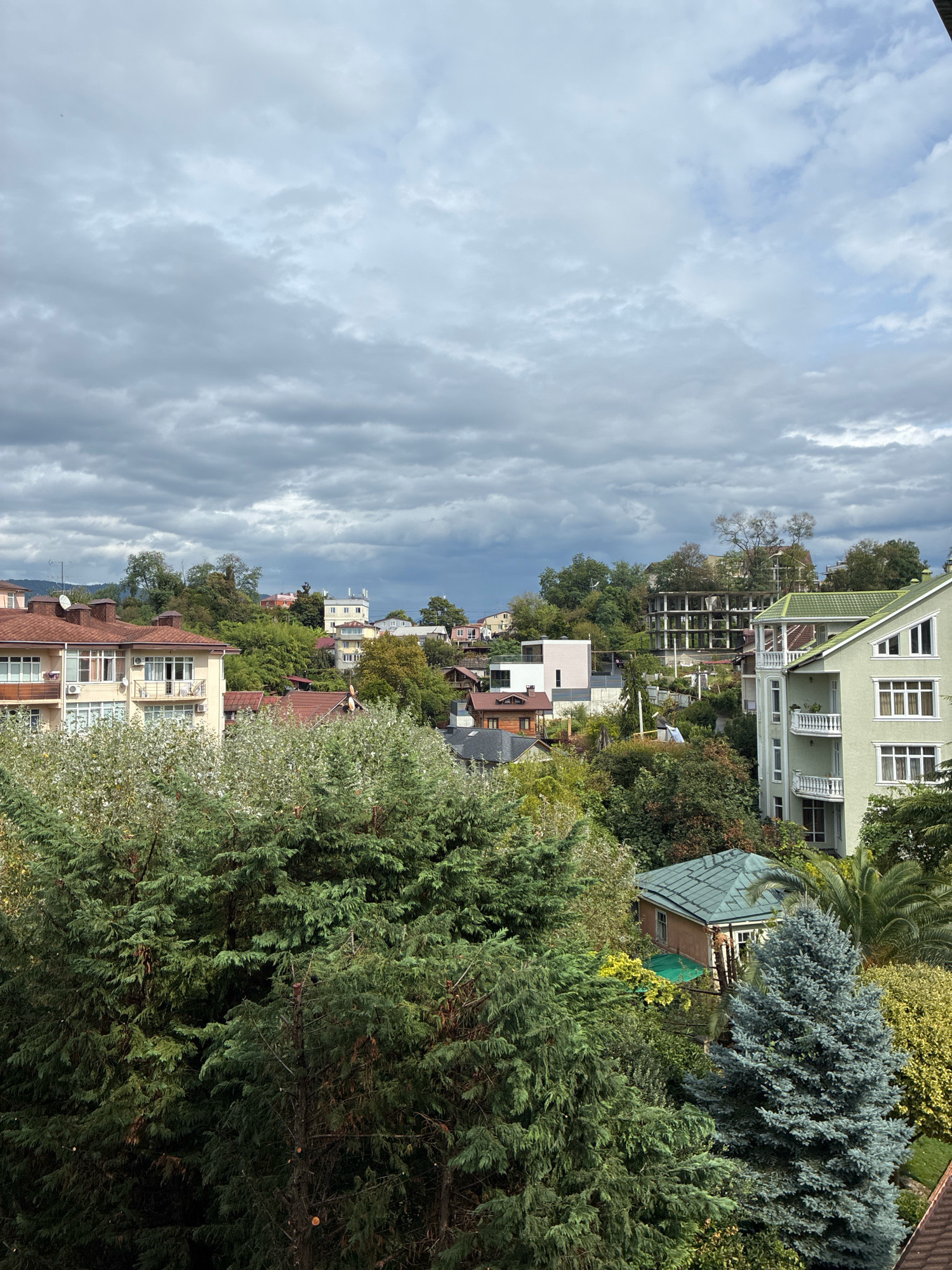 The image depicts a residential area on a hillside in Sochi, Russia, under a cloudy sky. In the foreground, dense evergreen trees, including cypress and fir trees, dominate the view, with some lighter green foliage also present. Behind the trees, several multi-story buildings are visible, varying in architectural style and color.
The building on the far left is a light yellow apartment building with multiple balconies and a red tiled roof. To its right, a cluster of houses with red roofs and varying facades are nestled among the trees. A prominent light green building with white balconies and a white-trimmed green roof stands out on the right side of the mid-ground. Further up the hill, additional buildings are scattered, including a pink rectangular structure and a partially constructed concrete building with exposed rebar. The background features a darker, forested hillside with some taller trees. The overall impression is of a lush, green, and somewhat hilly urban or suburban environment. The sky is filled with grey clouds, suggesting overcast or potentially rainy weather. No people are visible in the image.