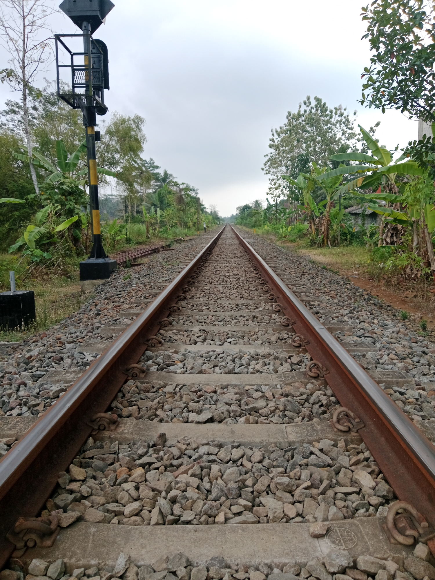A low-angle, full shot captures a railway track stretching into the distance under a cloudy sky. The tracks are flanked by a dense, green landscape of trees, including banana trees, and various undergrowth. A railway signal post with black and yellow markings stands prominently on the left side of the track. The ground surrounding the tracks is covered in ballast, consisting of grey stones. The scene appears to be located in a rural area, consistent with the outskirts of Bojongmengger, Indonesia, where such railway infrastructure is common amidst agricultural and natural surroundings. There are no people visible in the image.