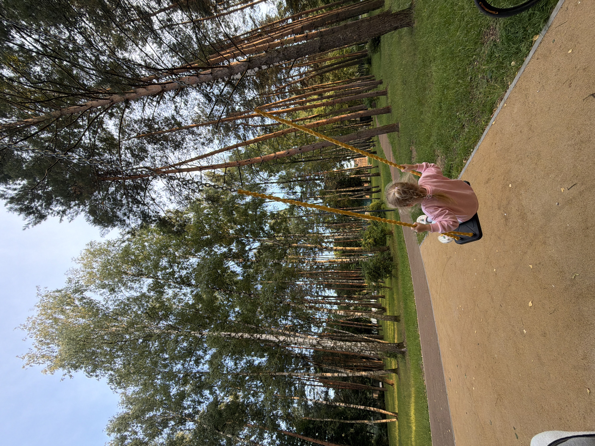 In Malakhovka, Russia, a young girl with blonde braided hair is on a swing, her back to the camera. She wears a pink sweater and white sneakers. The swing has yellow ropes and a black seat. She is in a park with a sandy area and a paved path. Tall birch and pine trees surround the area, with green grass covering the ground. The sky is a clear blue, indicating daytime.
