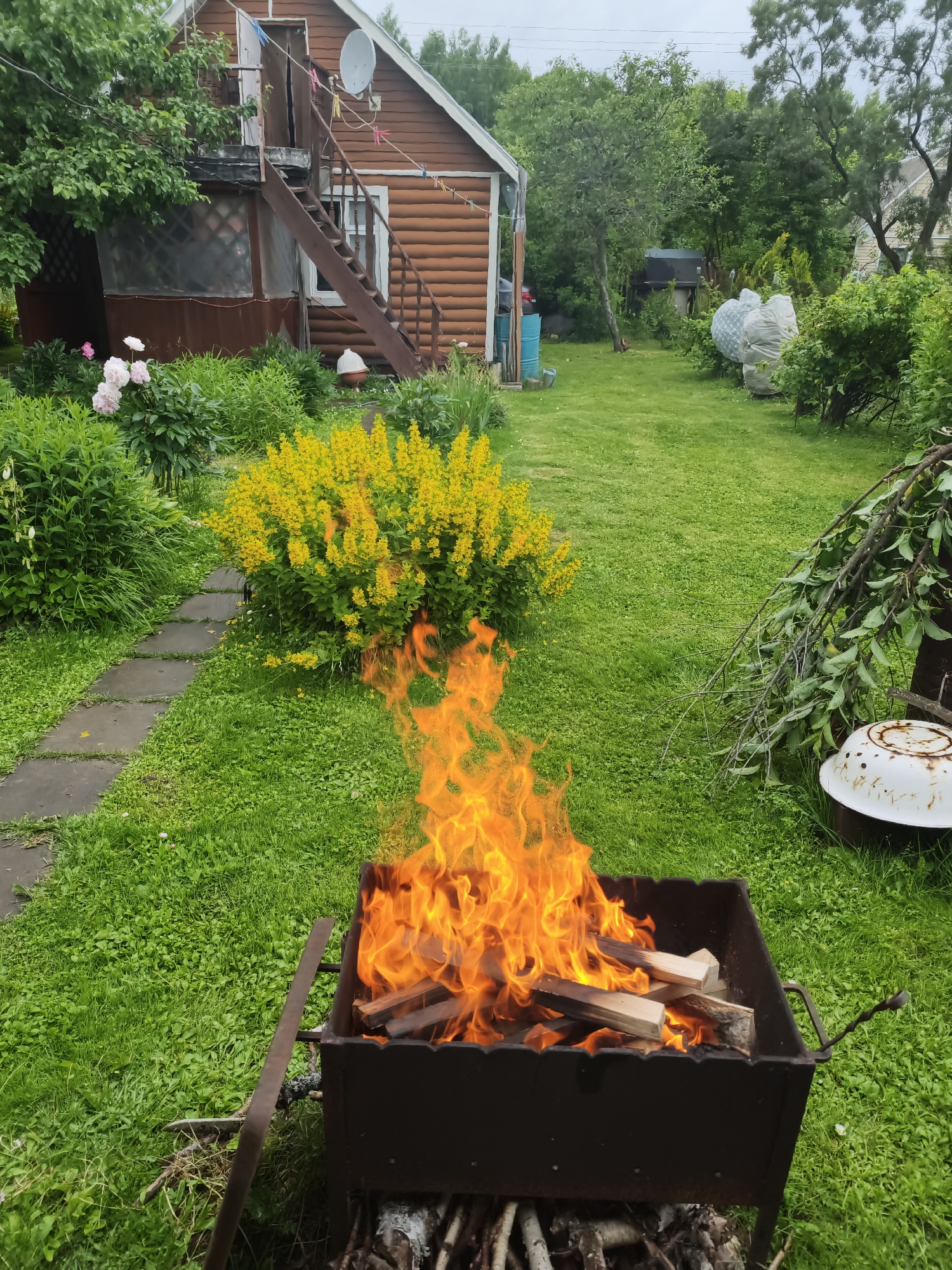 A bright orange fire burns in a dark metal brazier filled with wooden logs, positioned on a lush green lawn. To the left of the brazier, a stone pathway winds through vibrant green foliage and a bush covered in bright yellow flowers. In the background, a rustic wooden house with a satellite dish and an external staircase stands under an overcast sky. Various items are scattered around the yard, including blue barrels, large white bundles covered in plastic, and a weathered white basin with branches resting on it. The scene evokes a sense of a relaxed outdoor gathering or a backyard clean-up in a rural setting. The time of day appears to be daytime, with the cloudy sky suggesting potentially cooler weather. The location is identified as Автомобилист Снт, Russia. No text is visible in the image.