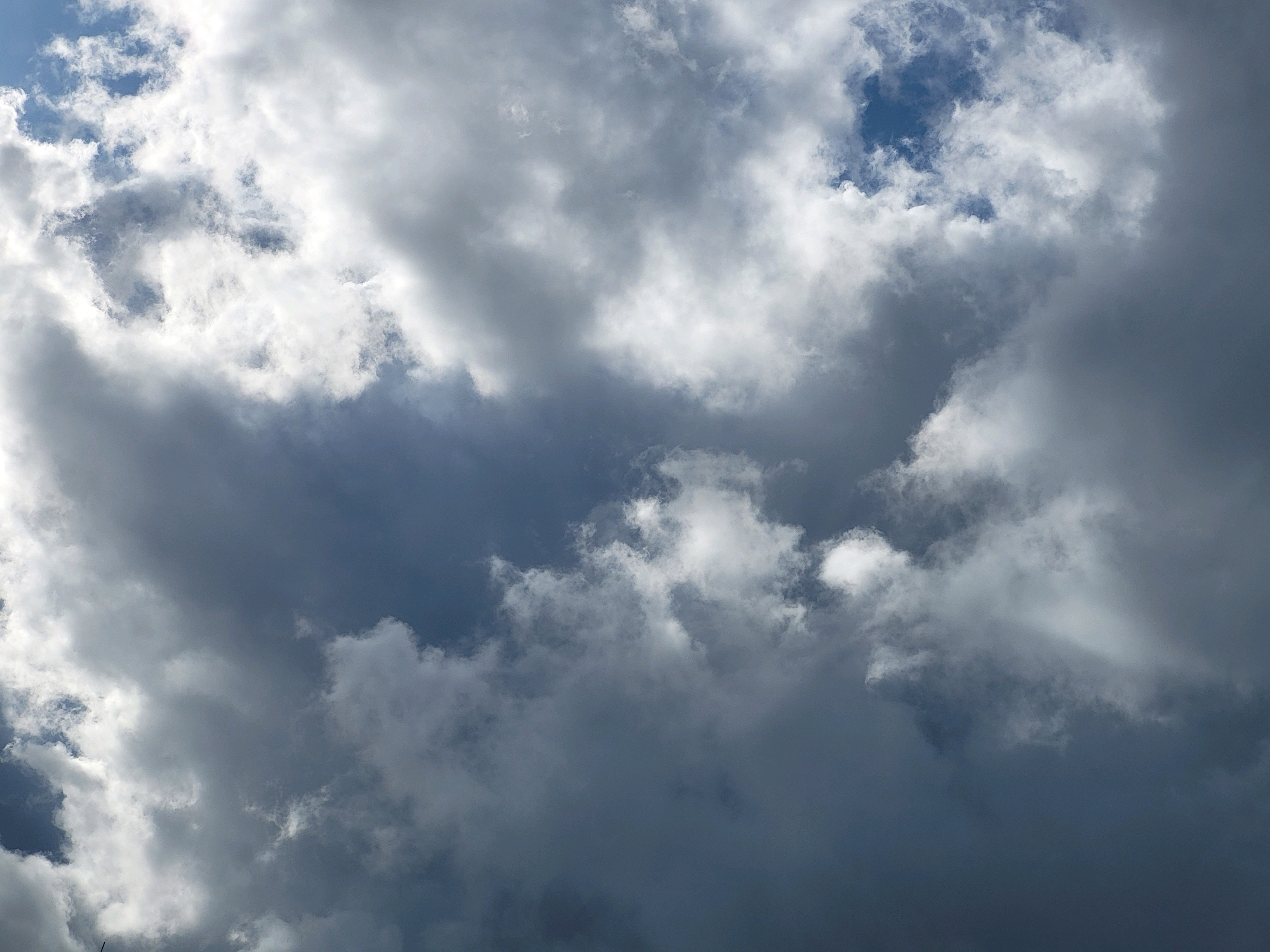 This is a close-up, high-angle, full-frame photograph of a dramatic, cloudy sky. The clouds are a mix of dark, ominous storm clouds and brighter, sunlit cumulus clouds. Patches of deep blue sky are visible through gaps in the clouds. The lighting suggests a turbulent weather system, possibly with sunlight breaking through after or before a storm. There are no people, structures, or any discernable landmarks visible in this image, and therefore no specific location in Jelgava, Latvia can be identified.