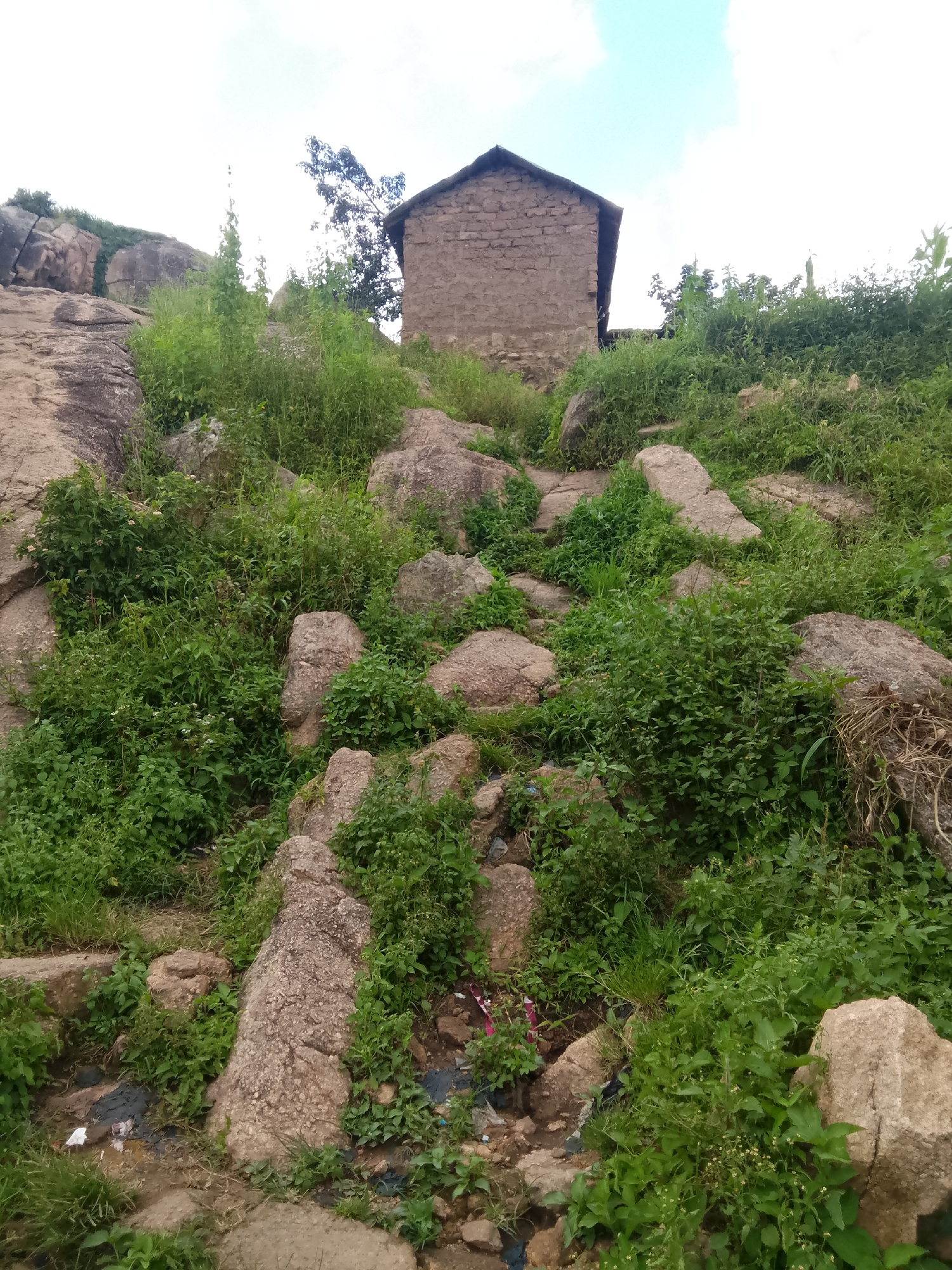 A simple, weathered stone building stands atop a rocky, overgrown hillside. The structure, with a dark, sloped roof and rough-hewn stone walls, appears to be an older, possibly abandoned, dwelling or utility building. The surrounding landscape is characterized by large, grey and tan rocks interspersed with thick green foliage, grasses, and small bushes. The terrain is uneven and slopes upwards towards the building, suggesting it is situated on a natural elevation. The sky above is bright and overcast, with faint clouds visible. The overall impression is one of a rustic, perhaps remote, location, with the building integrated into the natural rocky environment. The scene does not contain any people or overt signs of recent human activity, beyond the building itself.