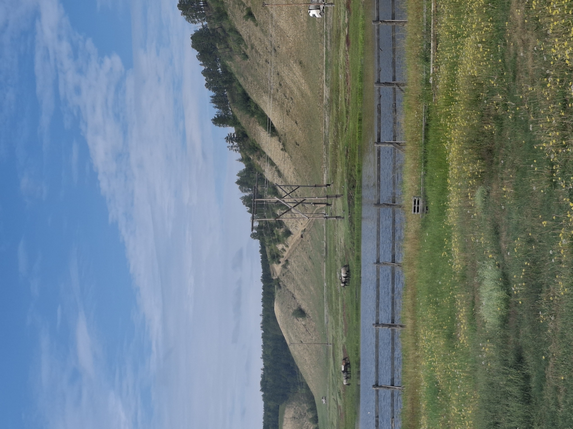 The image depicts a rural landscape in Tyokhtyur, Russia, under a partly cloudy blue sky. In the foreground, a grassy field dotted with small yellow flowers leads to a calm body of water. A rustic wooden fence runs along the edge of the water. In the middle ground, several horses are grazing in a green pasture. Further back, a gently sloping hill is covered with dry grass and scattered trees. A utility pole with wooden crossbeams and wires stands prominently in the mid-ground, indicating the presence of infrastructure. In the distance, a white truck is visible on a dirt road that winds up the side of the hill. The overall scene suggests a tranquil, natural environment with elements of human presence.