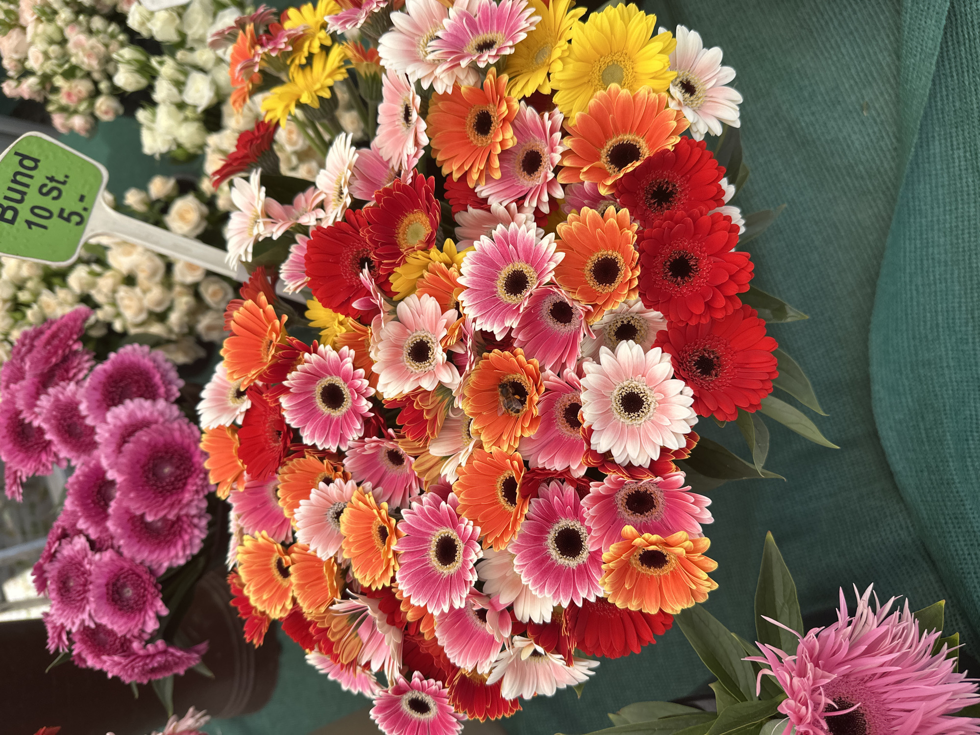 This image captures a vibrant bouquet of gerbera daisies at a flower market, likely in Stuttgart, Germany, given the price tag which indicates "Bund 10 St. 5.-", suggesting a bundle of 10 flowers for 5 Euros, a common pricing structure in German markets. The bouquet is a riot of color, featuring shades of bright pink, orange, red, yellow, and white gerberas, their petals fanned out around dark centers. Some flowers are fully bloomed, while others are still opening. A bumblebee is visible on one of the orange gerbera daisies, actively pollinating. In the background, other bouquets of flowers and a green price tag can be seen, suggesting a bustling marketplace. The flowers are arranged in a large bunch, possibly for sale. The surface beneath the flowers is a textured, dark green fabric, likely a tablecloth or display material.