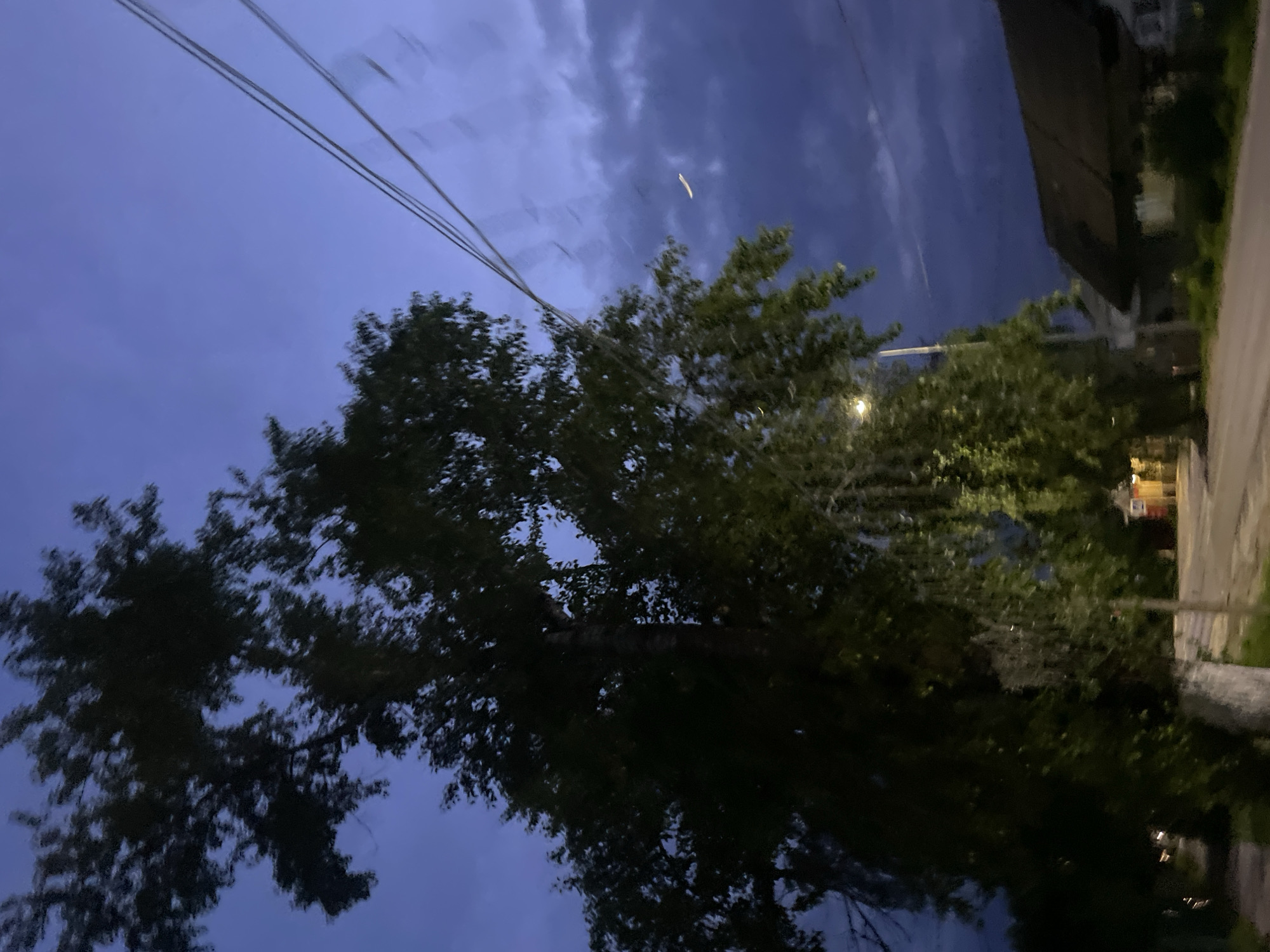 The image depicts a twilight scene in Красные Баки, Russia. A large, leafy tree with a visible trunk occupies the left half of the frame, its foliage appearing motion-blurred against a deep blue to purple sky. Power lines are visible in the upper right quadrant, spanning horizontally across the sky, also exhibiting motion blur. The sky transitions from a lighter blue in the upper left to darker, cloud-covered areas in the upper right. A faint white streak, possibly a contrail, is present in the darker cloud region.
At the base of the tree, an illuminated streetlight with a vertical pole is visible. A road, likely asphalt, runs across the bottom of the image, curving slightly to the left. In the background, beyond the tree and road, several low-rise buildings are discernible. On the far right, a building with a dark, sloped roof is partially visible. Further down the street on the left, another smaller structure, possibly red, is faintly illuminated. Other distant lights suggest additional buildings or streetlights along the thoroughfare. No individuals are present in the scene.