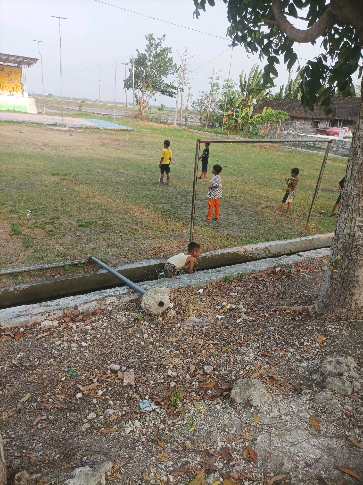 An outdoor scene captures children playing in a grassy area with a sports court in the background. In the foreground, a concrete drainage ditch runs horizontally across the image. A young boy is reaching into the ditch, partially submerged. To the right of the ditch, a large tree trunk is visible. In the middle ground, several other children are scattered across the grassy field, some near a makeshift goalpost. The background features a brightly colored sports court and a wider expanse of agricultural land, possibly rice paddies, under a pale sky. The overall impression is of a rural or semi-rural community setting in Sarangan, Indonesia.