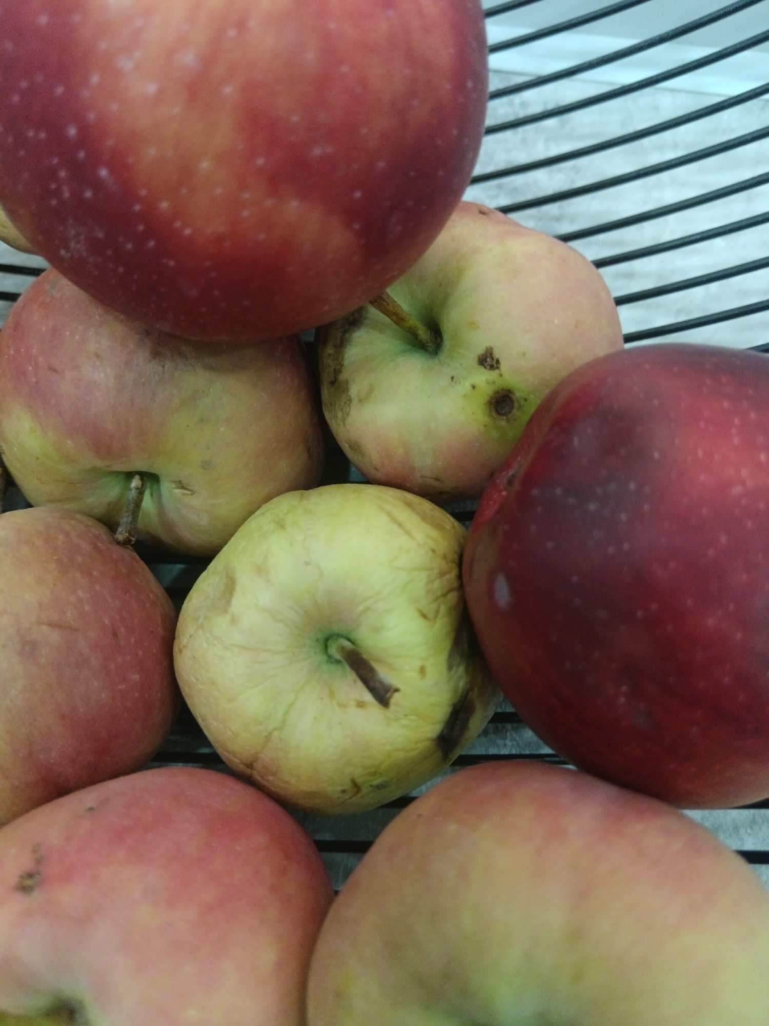 A close-up, high-angle shot captures a basket filled with numerous apples. The apples vary in color, with some being predominantly red and others a lighter yellow-green. Many of the apples show signs of ripeness or slight bruising. The basket appears to be made of dark material with horizontal stripes. The lighting is somewhat dim, creating shadows on the apples. No people or discernible city elements are visible. The image is focused on the fruit itself, with the background showing the texture of the basket. The scene does not provide any information about the location in Sorochinsk, Russia.