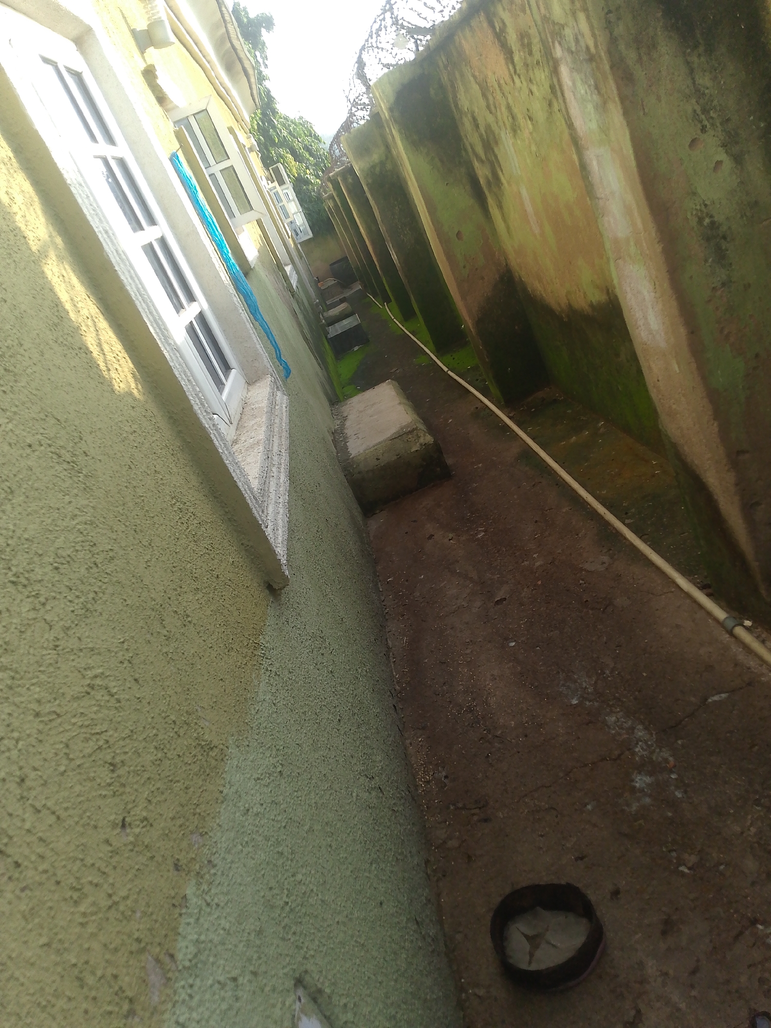 The image shows a narrow outdoor alleyway between two buildings. The building on the left has a textured, light green exterior wall with several white-framed windows. A blue tarp or cloth is draped over one of the windows. The building on the right is a tall, weathered concrete wall with visible moss and water stains, suggesting it is an outdoor or semi-exposed structure. The ground of the alley is paved with concrete and appears somewhat worn and stained. A thin, light-colored pipe runs along the base of the right wall. In the foreground, a dark, circular object is visible on the ground, possibly a lid or a shallow container. The overall impression is one of an urban environment, likely a residential or commercial area within Jalingo, Nigeria.