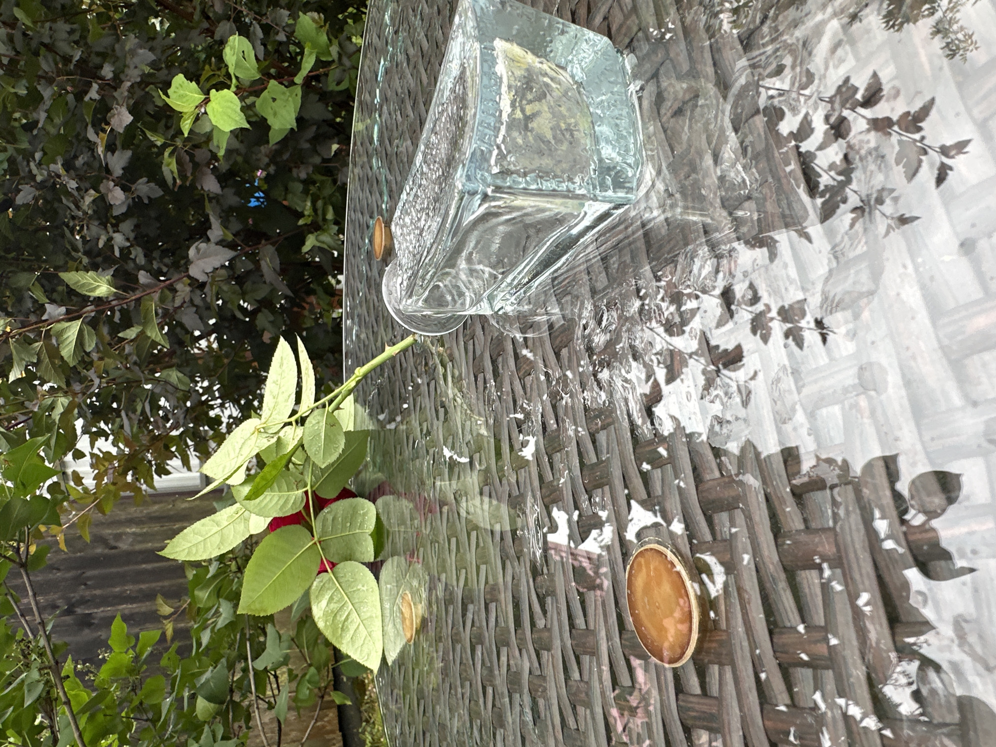 An overhead shot of a glass table with a woven brown surface, covered in water. A single red rose, still attached to its stem and leaves, lies on the table, its petals slightly wet. A rectangular glass object, possibly a vase or decorative piece, is also on the table, filled with water and reflecting the surrounding foliage. Two small, round, golden objects, possibly coasters or decorative elements, are visible on the table, one near the rose and another further away. The background is blurred, showing green and dark foliage, with hints of a wooden fence and structure. The overall impression is a still-life scene of a rose and glass objects on a wet table, likely outdoors. The location in Staritsa, Russia is not discernible from the image itself.