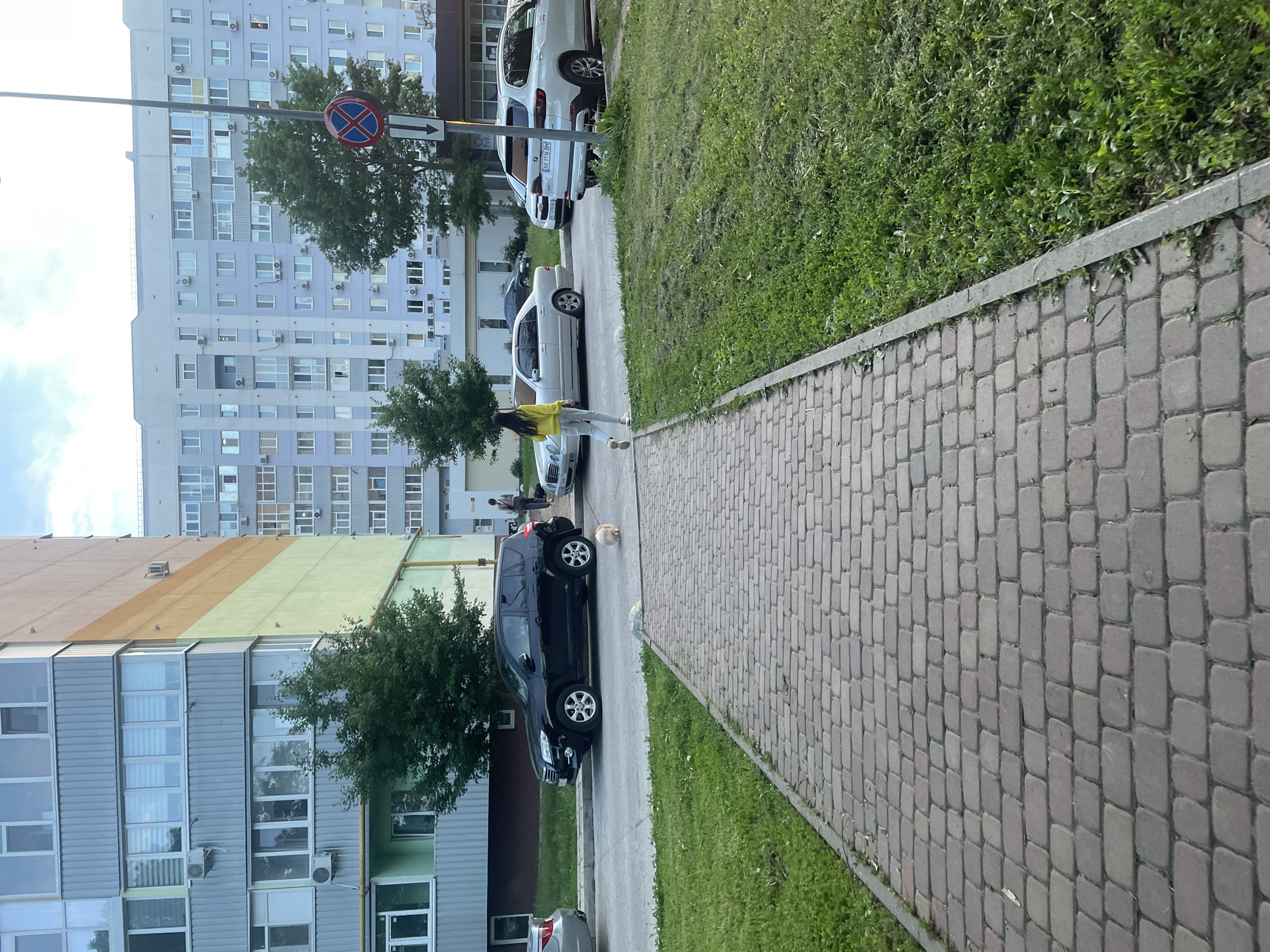 The image captures a street scene in what appears to be a residential area in Rozsoshentsi, Ukraine, under clear daylight conditions.
In the foreground, a brick-ppaved sidewalk runs parallel to a strip of green grass, separated by a concrete curb. To the left of the sidewalk is a paved road where several cars are parked. A person in a yellow top and light-colored pants is walking a small, fluffy, light-colored dog on the sidewalk. The dog is slightly ahead of the person. Further down the road, two other individuals are visible near parked cars.
Parked cars visible include a dark-colored SUV (possibly black or dark blue), a white sedan, and a white SUV. The white SUV's license plate "AX 1118 BM" is partially visible.
Dominating the background are large, multi-story apartment buildings. The building immediately behind the parked cars is light blue or grey with numerous windows and visible air conditioning units mounted on its exterior. Further back and to the left, another building section features stripes of different colors (brown, orange, green) on its upper facade. Trees with green foliage are interspersed along the street and between the buildings.
A traffic sign is prominently displayed above the parked cars and near a tree. It is a round, red-rimmed sign with a blue background and a red diagonal cross, indicating "no stopping" or "no parking," accompanied by a white arrow pointing to the right. The overall impression is that of a typical urban neighborhood street.