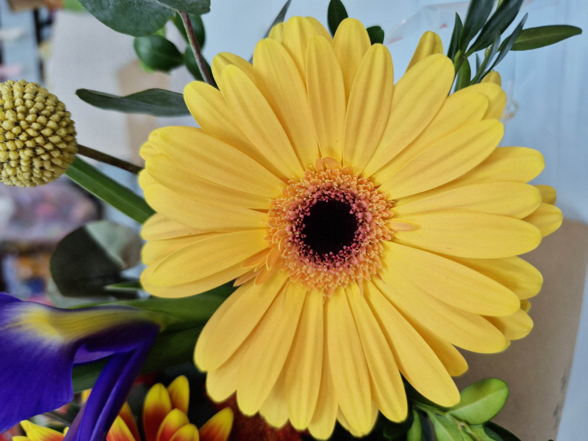 A close-up, eye-level, vertical shot shows a bright yellow gerbera daisy as the main subject, filling most of the frame. The daisy has numerous ray florets radiating from a dark center. Behind the daisy, a portion of a purple iris with yellow accents is visible on the left, along with the blurry red and yellow petals of another flower. To the upper right, a small, round, yellowish flower head is partially visible. Green leaves and stems are interspersed throughout the arrangement. The background is out of focus with hints of lighter colors and shapes. The lighting appears to be natural or soft artificial light, highlighting the vibrant colors of the flowers. There are no people or animals in the image. The setting is indoors, likely a studio or a home environment given the floral arrangement.