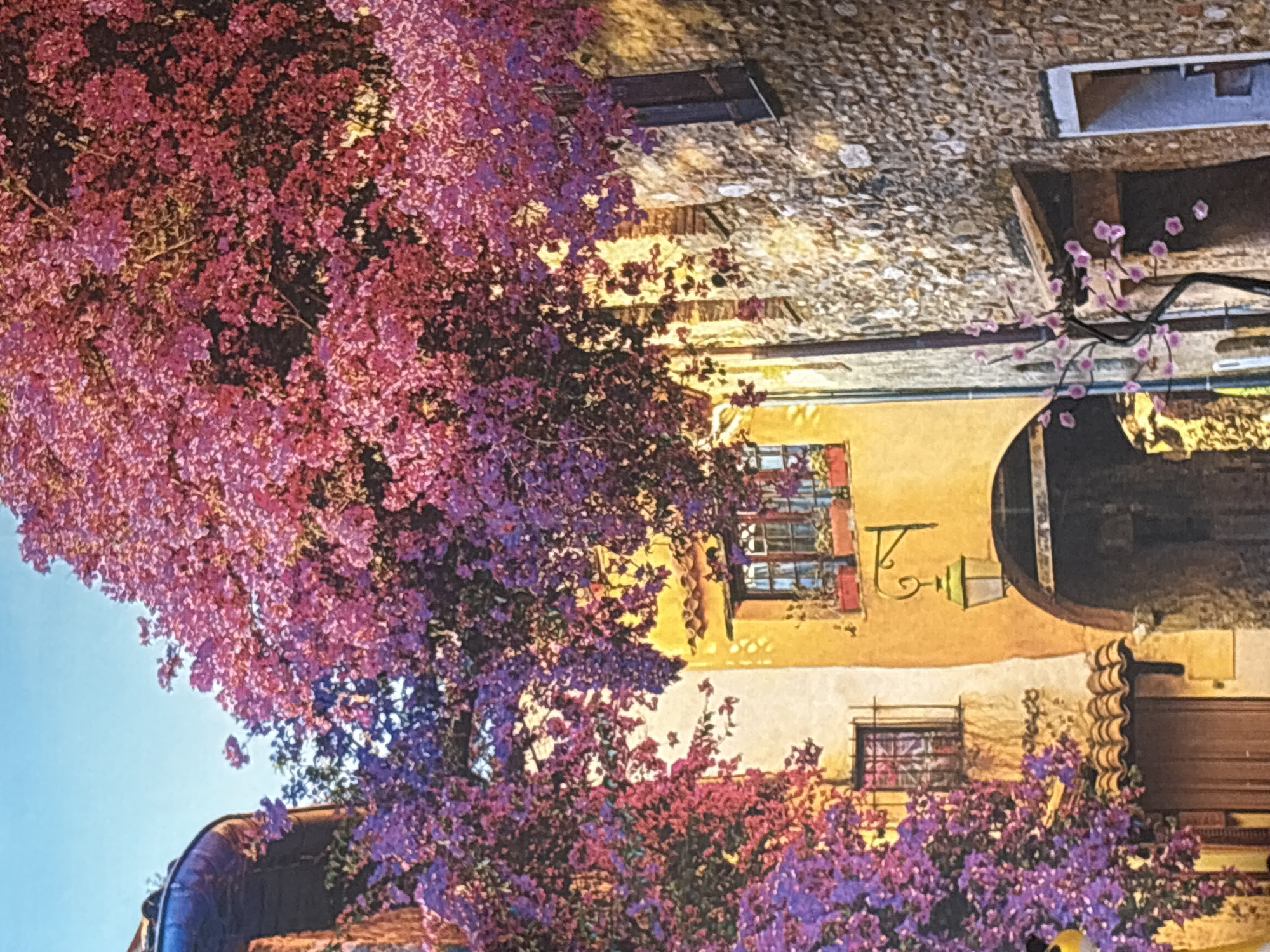The image depicts a picturesque narrow street in Georgiyevsk, Russia, adorned with vibrant purple and pink flowering trees that cascade down the sides of historic stone and stucco buildings. The architecture suggests an old European town, with arched doorways and windows featuring wrought-iron gratings. Sunlight filters through the dense foliage, casting dappled shadows on the textured stone walls and illuminating the warm tones of the stucco buildings. A traditional lantern hangs from a bracket on one of the buildings, adding to the old-world charm. The scene is devoid of people, creating a serene and tranquil atmosphere. The sky above is a clear, bright blue, contrasting with the rich colors of the flowers and architecture.
