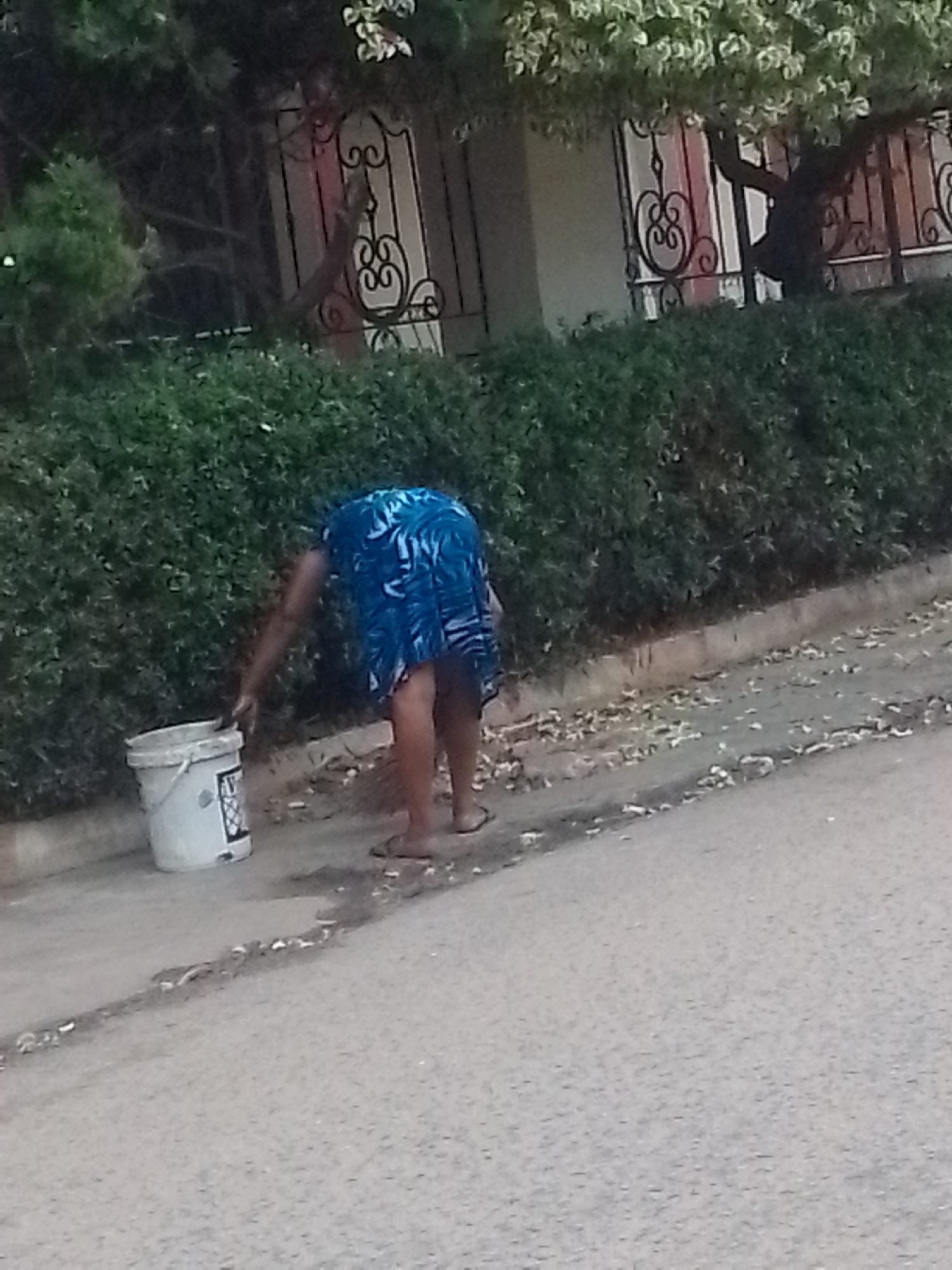 A woman wearing a blue patterned dress bends over near a curb in Onitsha, Nigeria. She is next to a white bucket, and appears to be picking something up from the ground near a hedge. A decorative wrought iron fence is visible behind the hedge. The street is paved and strewn with debris.