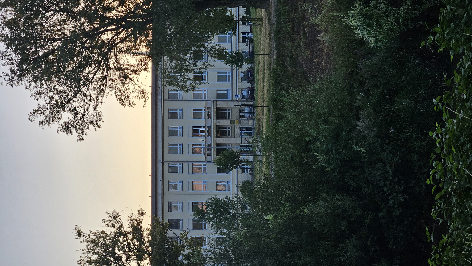 The image depicts a large, cream-colored building with a symmetrical facade, featuring multiple rows of windows. The building is situated behind a fence and surrounded by greenery. Several trees with dense foliage frame the scene, with the sky visible above, exhibiting a gradient of colors from pale yellow near the horizon to a light blue at the top. In the foreground, there is a dense undergrowth of various plants and shrubs. The overall impression is that of an institutional building, possibly a school or hospital, set within a natural environment. There is no specific indication of the location being in Prešov, Slovakia, as the image provides no geographical markers.