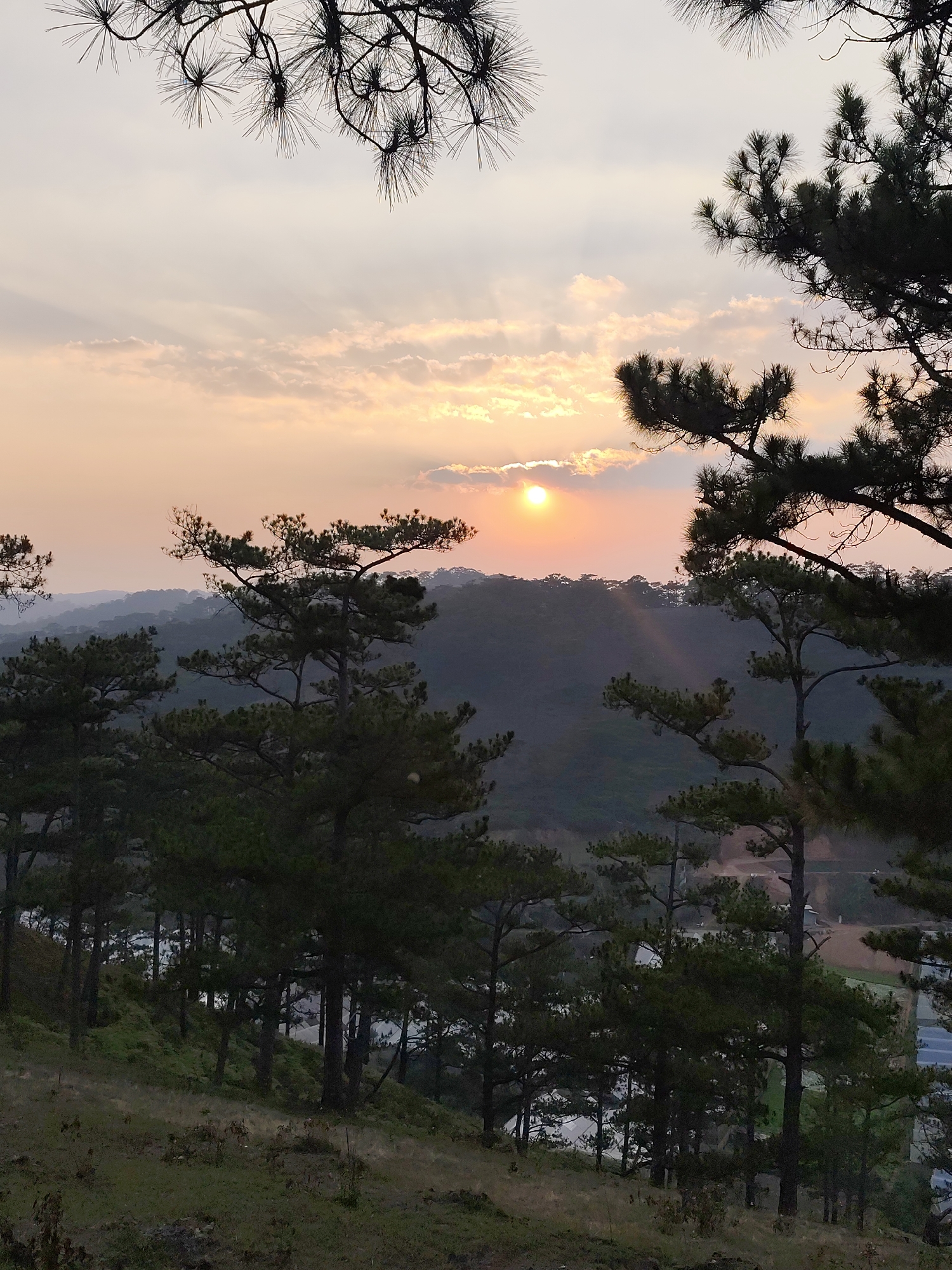 The image depicts a sunset scene in Lạc Dương, Vietnam, characterized by a hilly, forested landscape. A bright orange sun is partially obscured by clouds, casting rays downwards. Pine trees dominate the foreground and middle ground, some silhouetted against the fading light. In the lower portion of the frame, a grassy slope leads down to the tree line. In the background, layered hills stretch into the distance, fading into a hazy blue. The sky transitions from a pale orange to a muted pink towards the top of the frame. Pine branches frame the top of the image. Below the hillside in the foreground there are buildings that may be greenhouses.