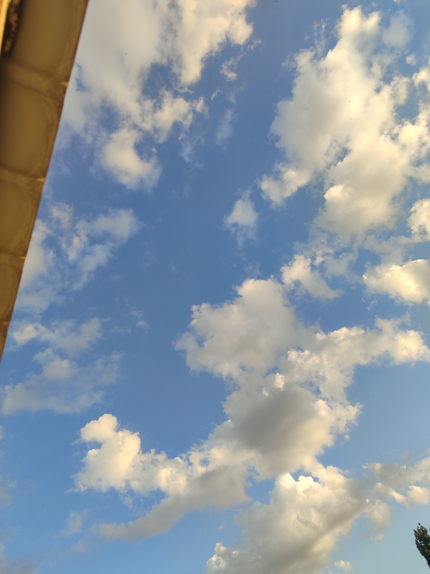 A medium shot captures the sky above Mykolaiv, Ukraine, bathed in the warm hues of a late afternoon sun. The upper left corner is partially obscured by a golden, textured overhang, possibly part of a building or awning. The vast expanse of the sky is a vibrant blue, dotted with numerous fluffy white cumulus clouds, some catching the sunlight and appearing brighter, while others are tinged with gray, suggesting depth and potential for change. A few tiny dark specks, likely birds or insects, are scattered across the sky. In the lower right portion of the frame, the dark silhouette of a tall tree is visible against the lighter sky. The overall scene conveys a sense of natural beauty and open space.