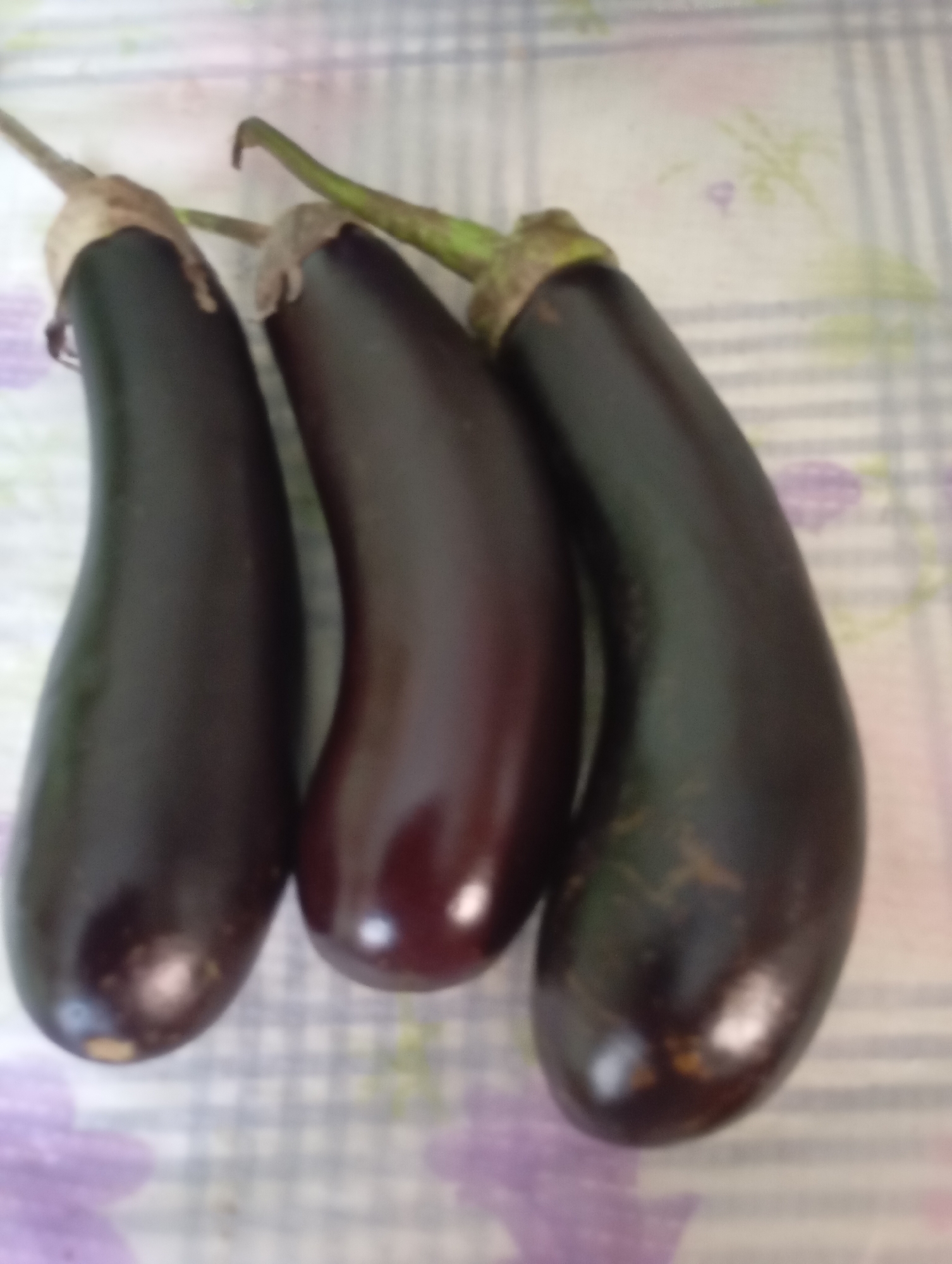 Three dark purple eggplants are lying on a checkered tablecloth. The eggplants are long and slender with green stems attached at the top. The tablecloth has a pattern of white and gray squares with a faint floral design in muted colors. The lighting is soft, casting gentle reflections on the smooth skin of the eggplants. The image does not contain any information about the city of Horishni Plavni, Ukraine, nor any people or actions.